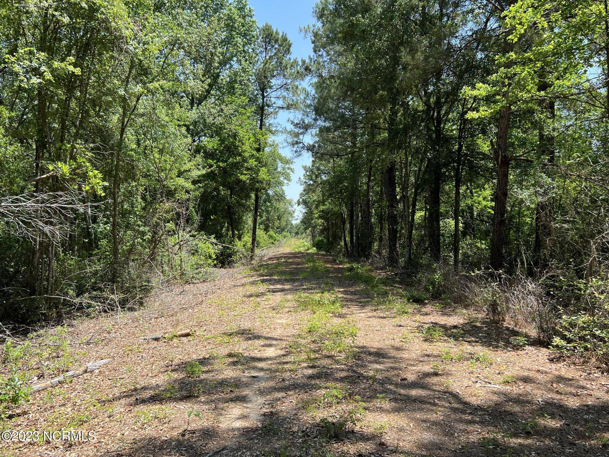 White Oak, NC 28399,Lot 1 & 2 Burney RD