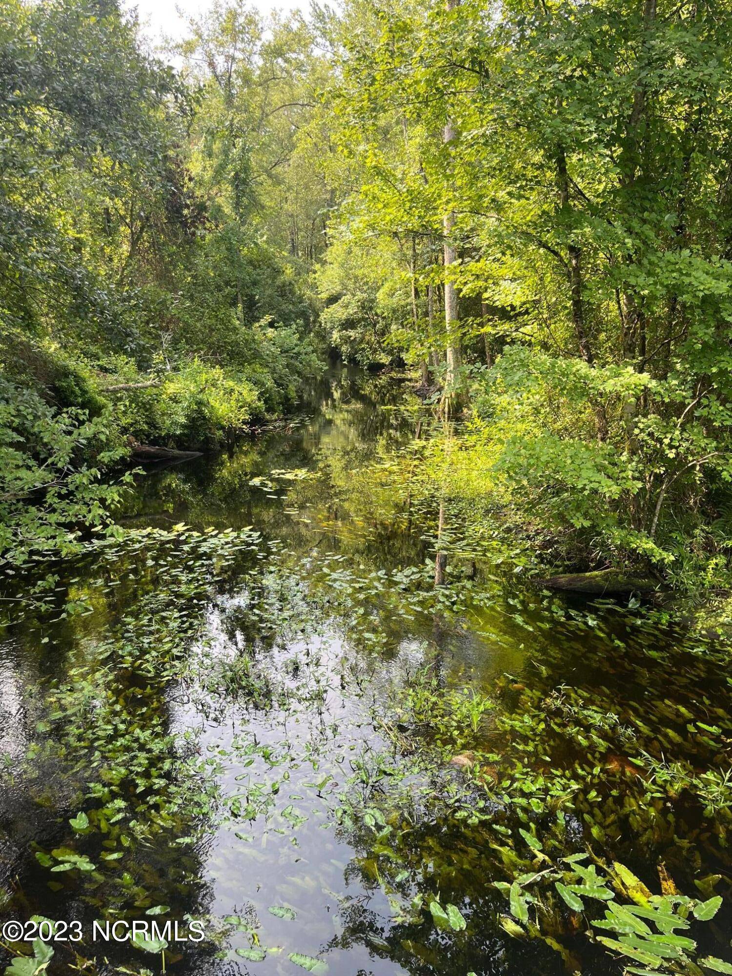 Garland, NC 28441,98 Acres Braxton Edge RD