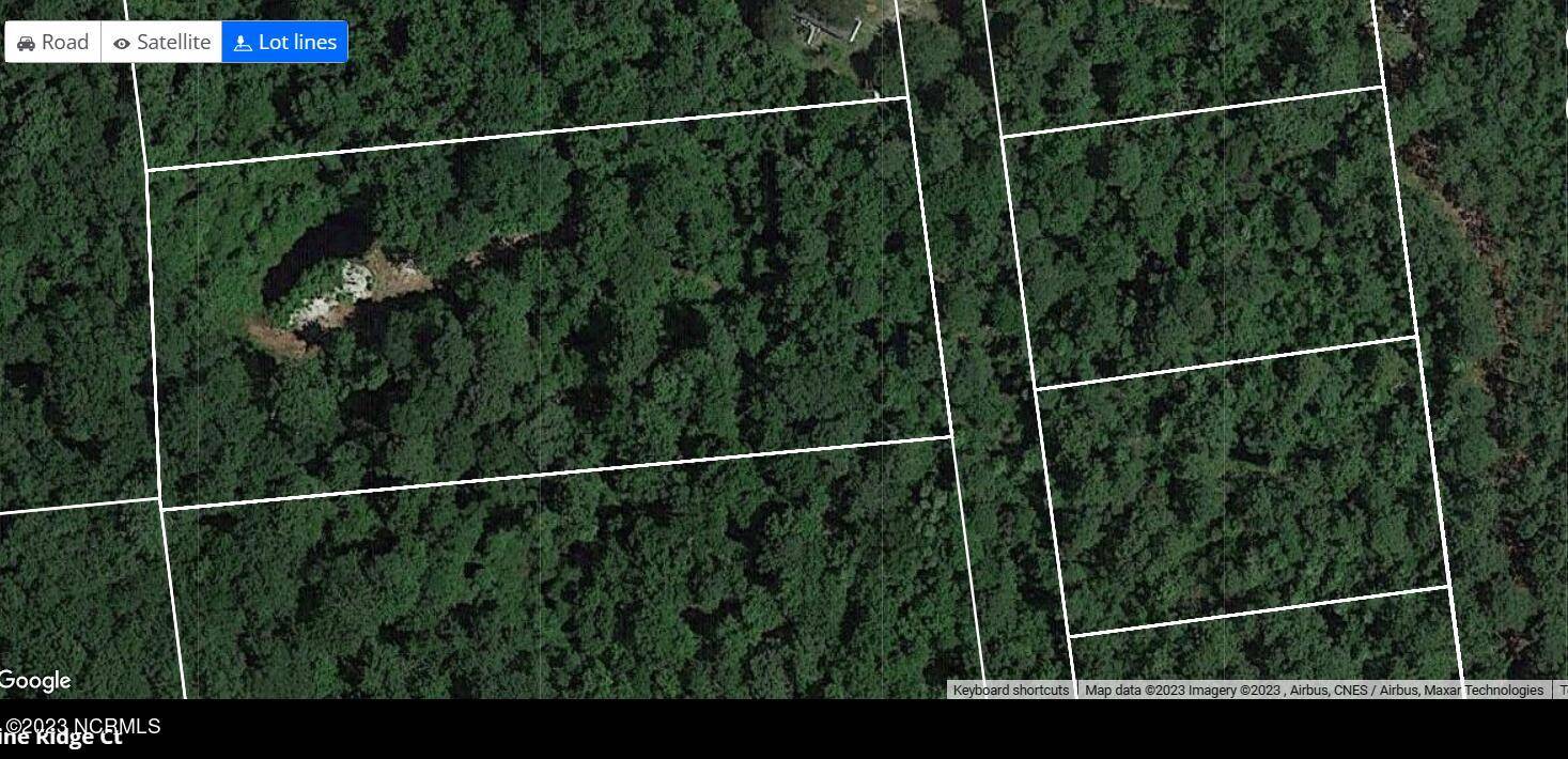 Burgaw, NC 28425,Lot 23 Pine Ridge CT