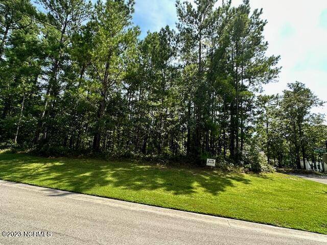 Leland, NC 28451,10196 Barley CT SE