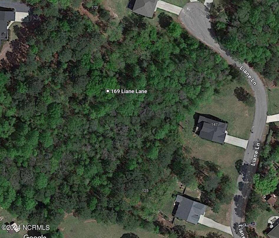 Whispering Pines, NC 28327,169 Liane LN