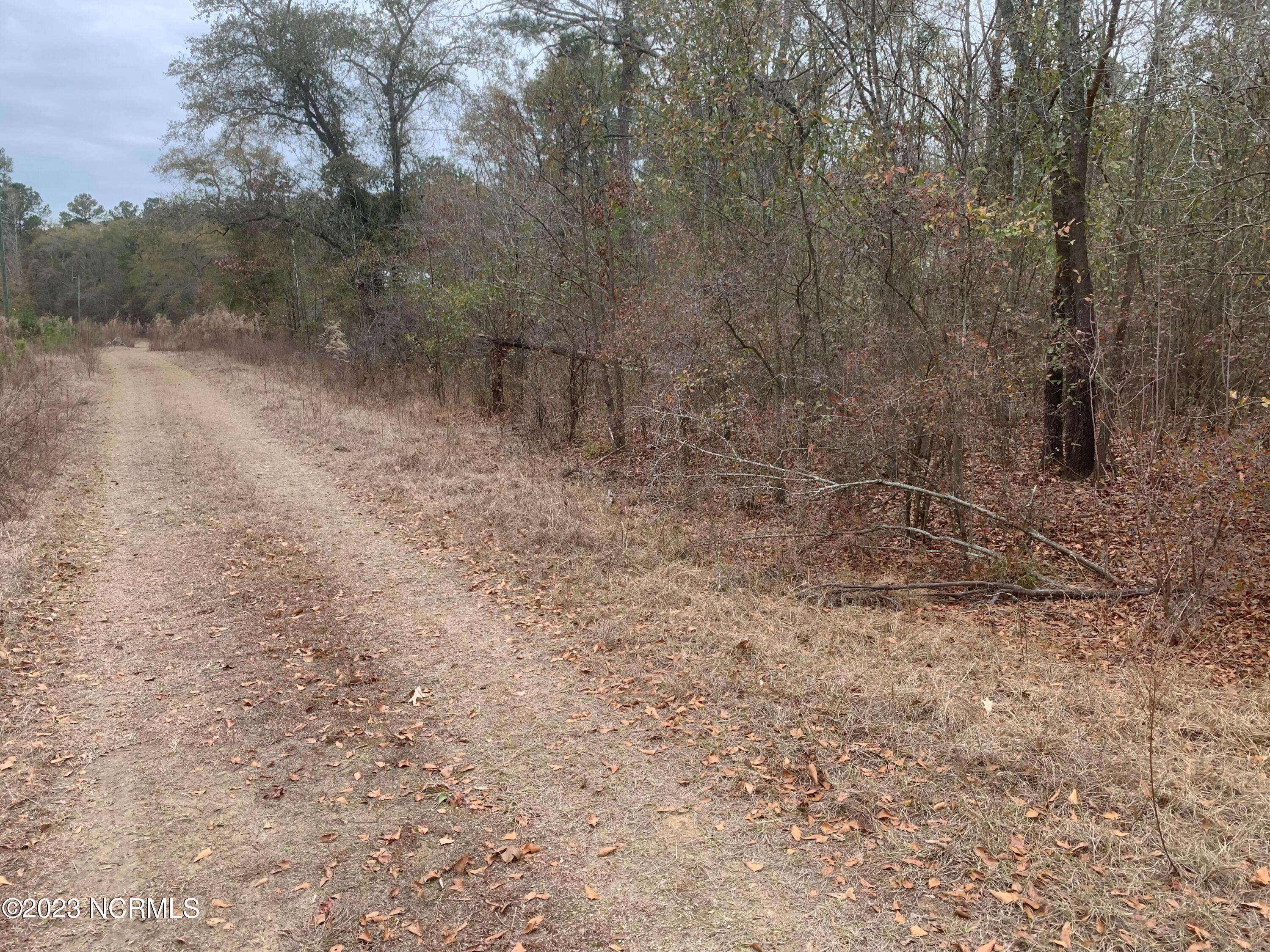 Burgaw, NC 28425,Lot 1 D E Marney Ext