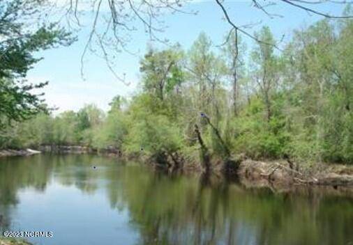 Burgaw, NC 28425,Lot 1 D E Marney Ext