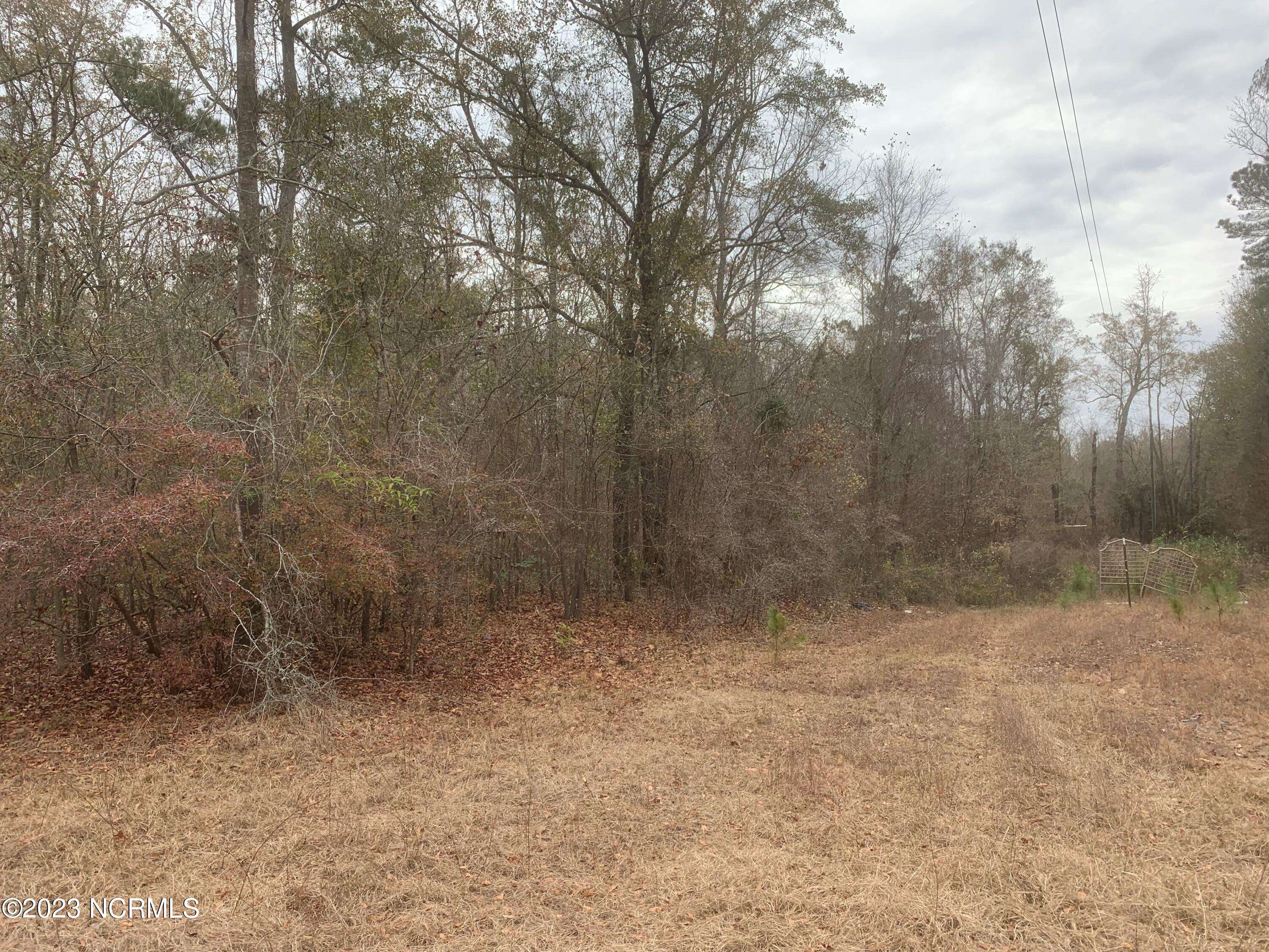 Burgaw, NC 28425,Lot 1 D E Marney Ext