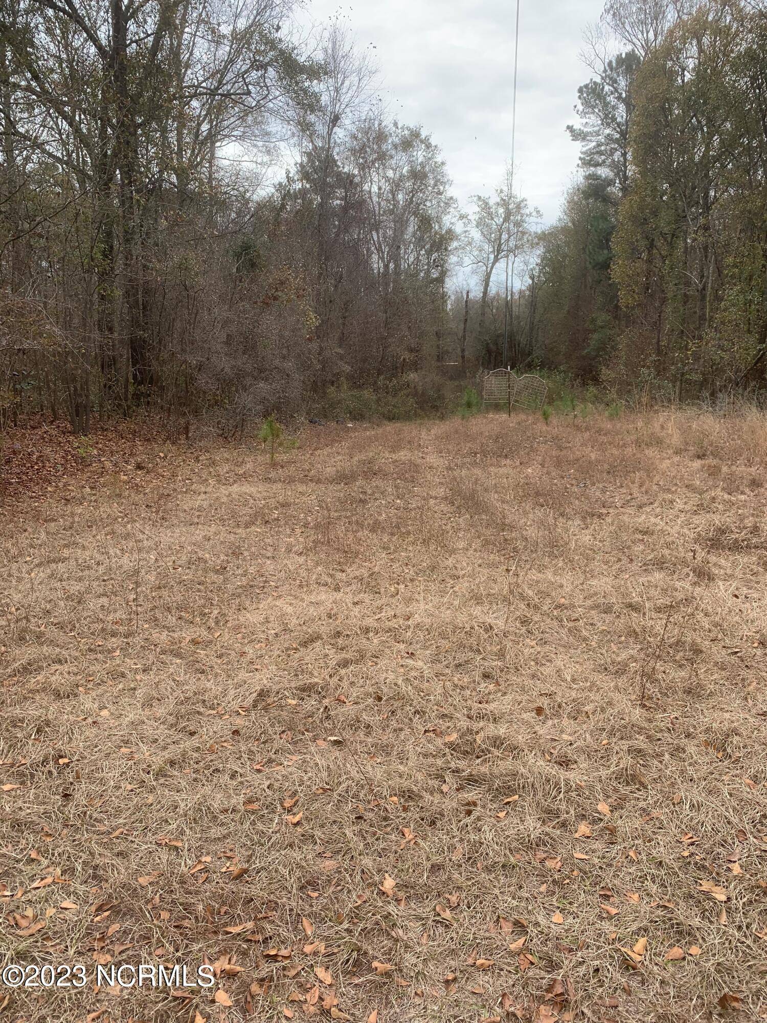 Burgaw, NC 28425,Lot 1 D E Marney Ext