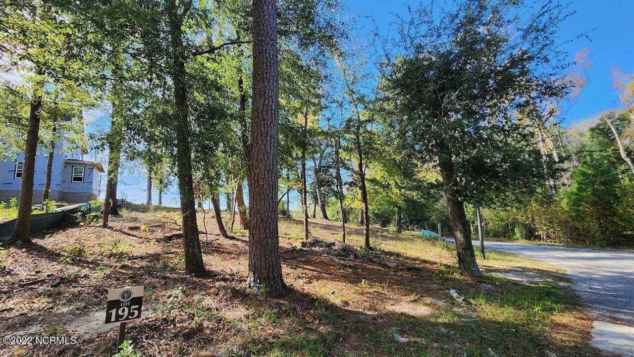 Castle Hayne, NC 28429,3753 White Cliffs DR
