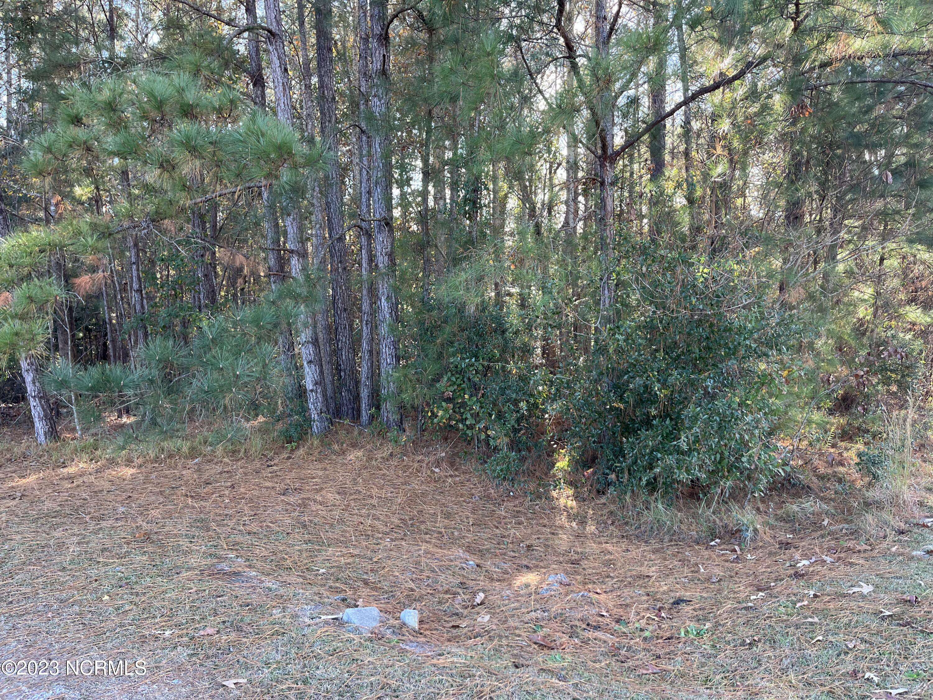 Bolivia, NC 28422,1894 Sunset Cove Rd. Se DR SE