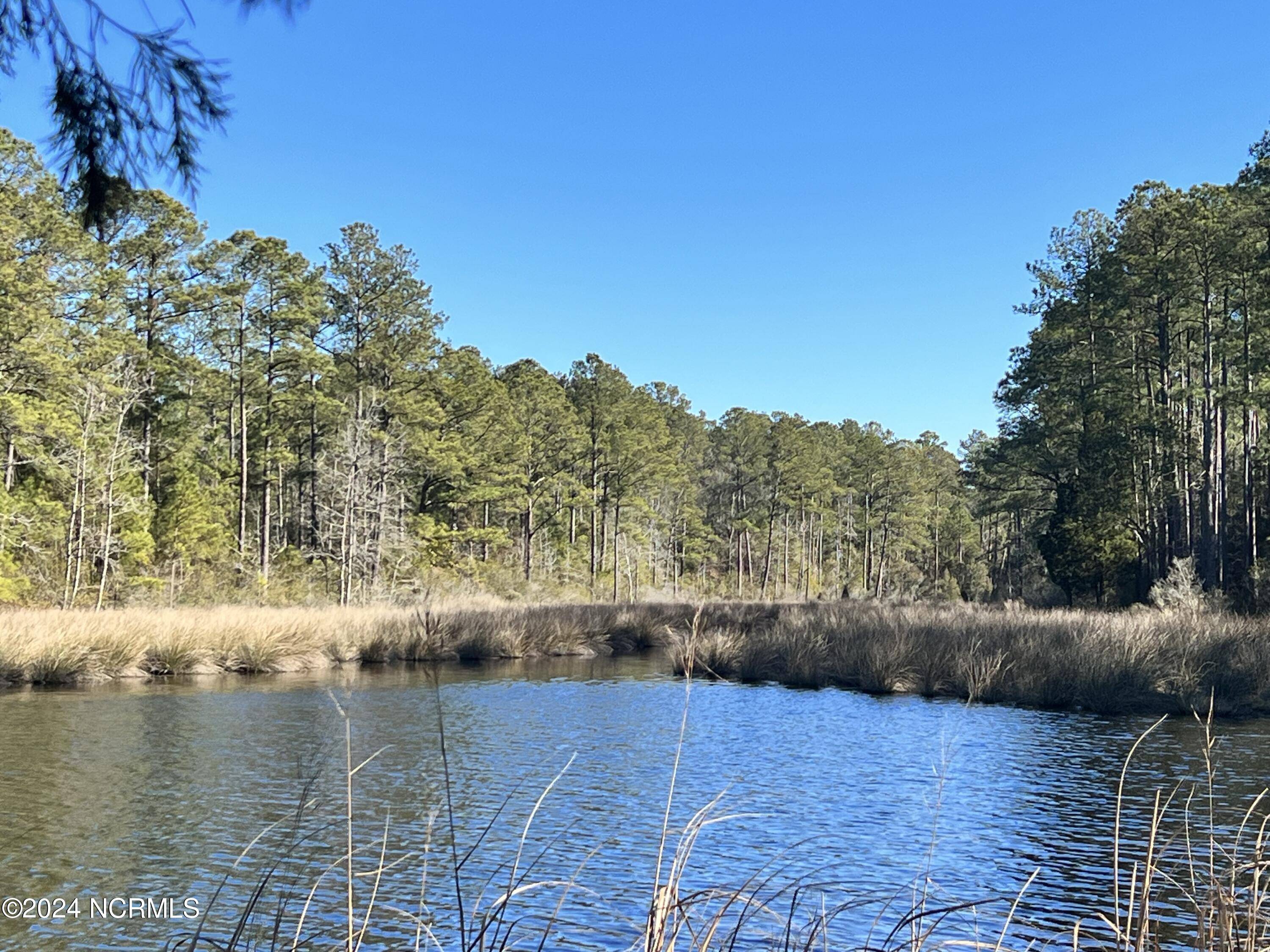 Belhaven, NC 27810,Lot 76 Bailey Pointe