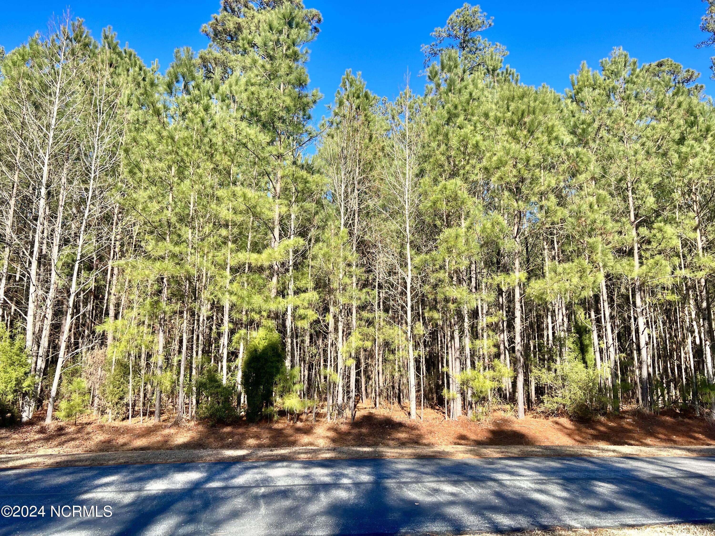 Belhaven, NC 27810,Lot 76 Bailey Pointe