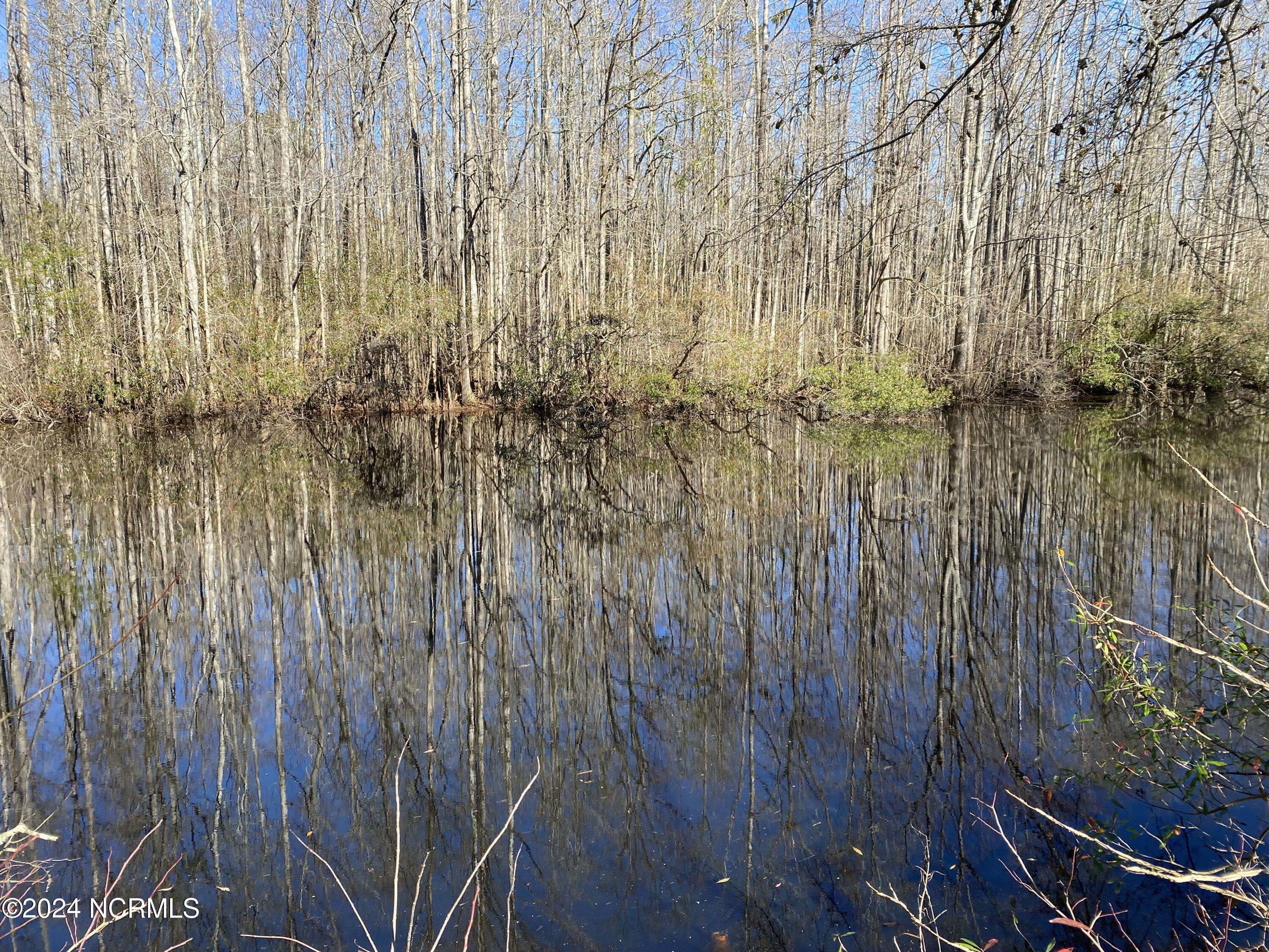 Lake Waccamaw, NC 28450,21 Big Creek CIR