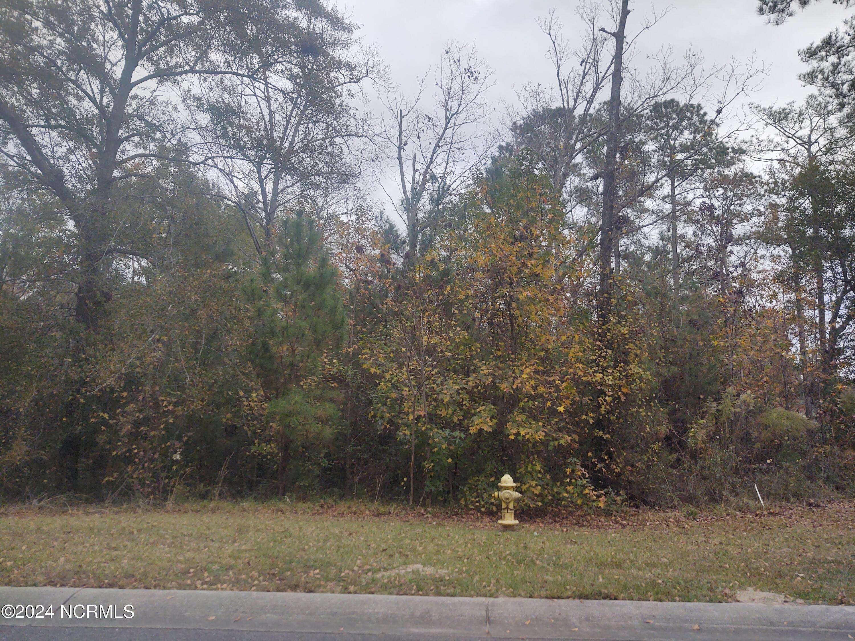 Leland, NC 28451,3819 Hallmark RD NE