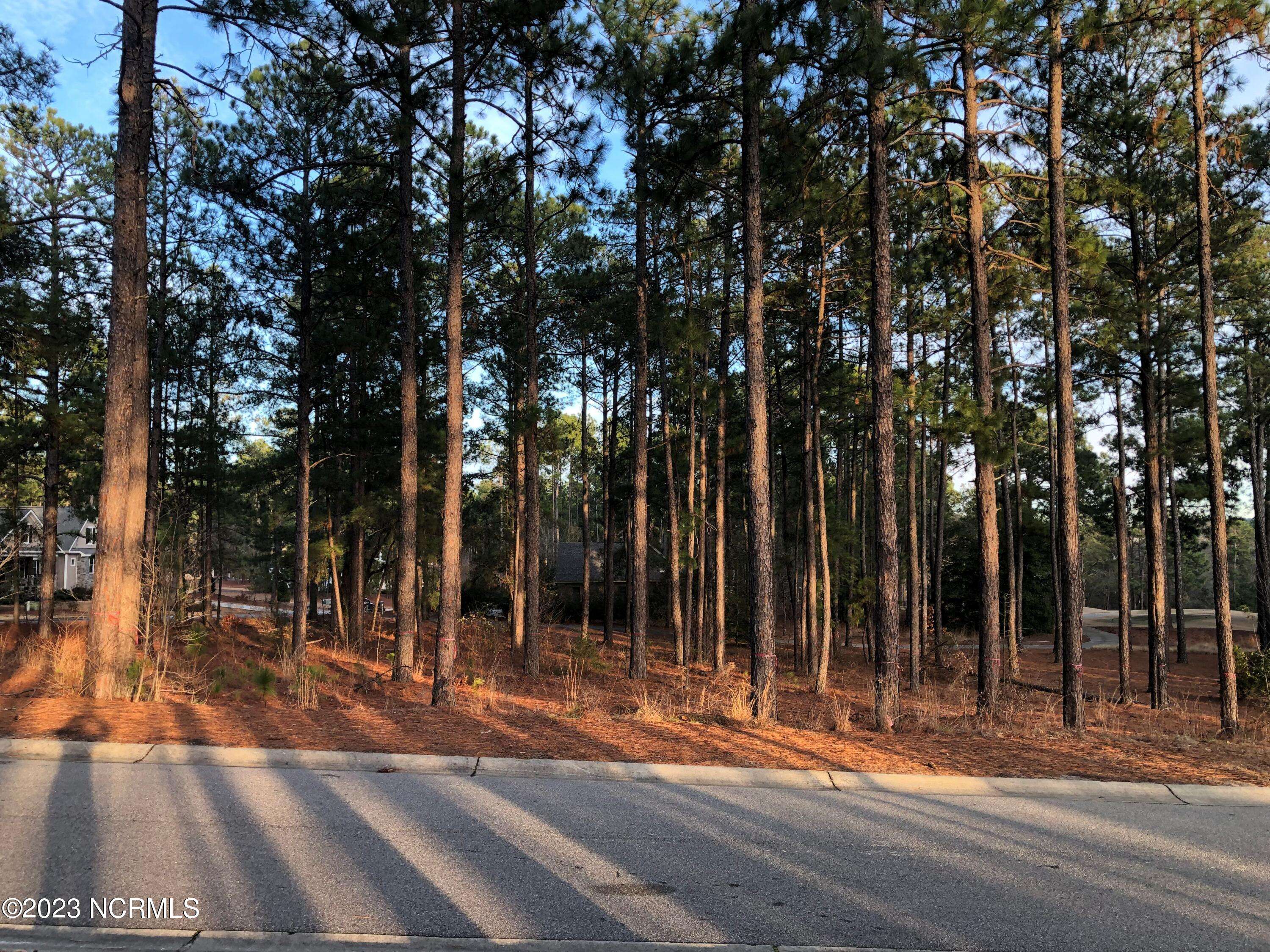 Southern Pines, NC 28387,115 Kings Ridge CT