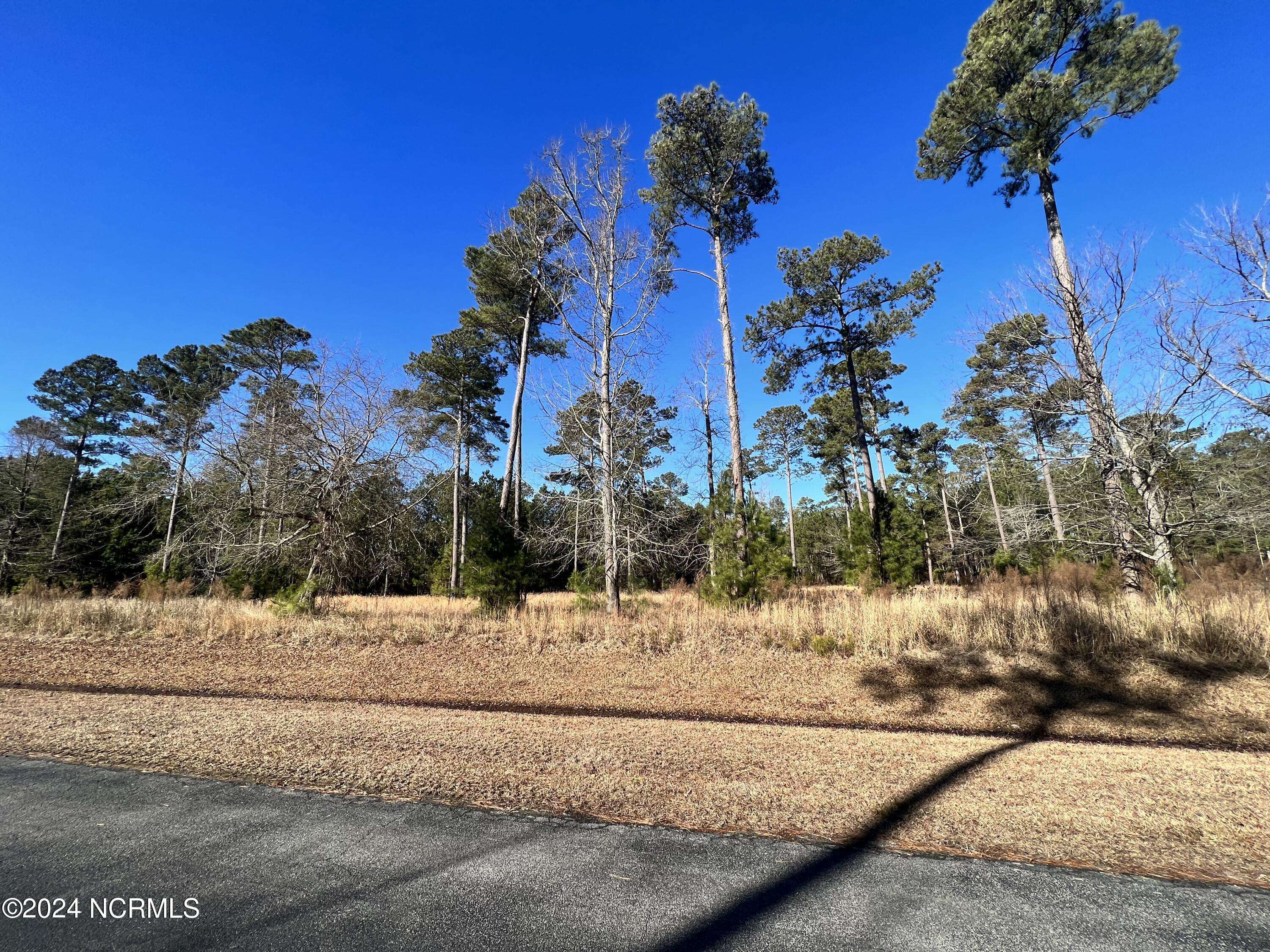 Belhaven, NC 27810,Lot 63 Bailey Pointe