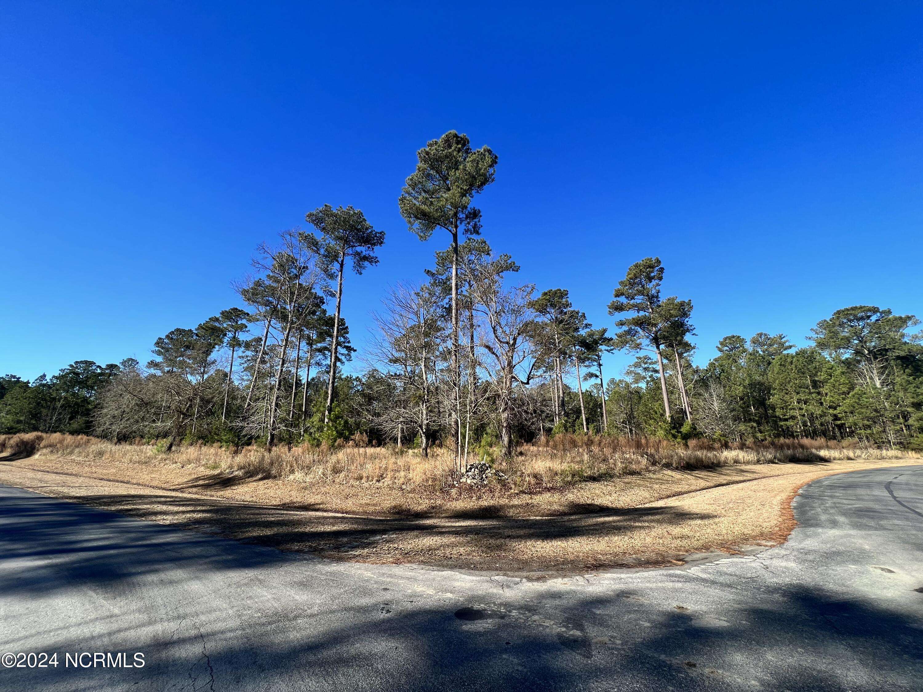 Belhaven, NC 27810,Lot 63 Bailey Pointe