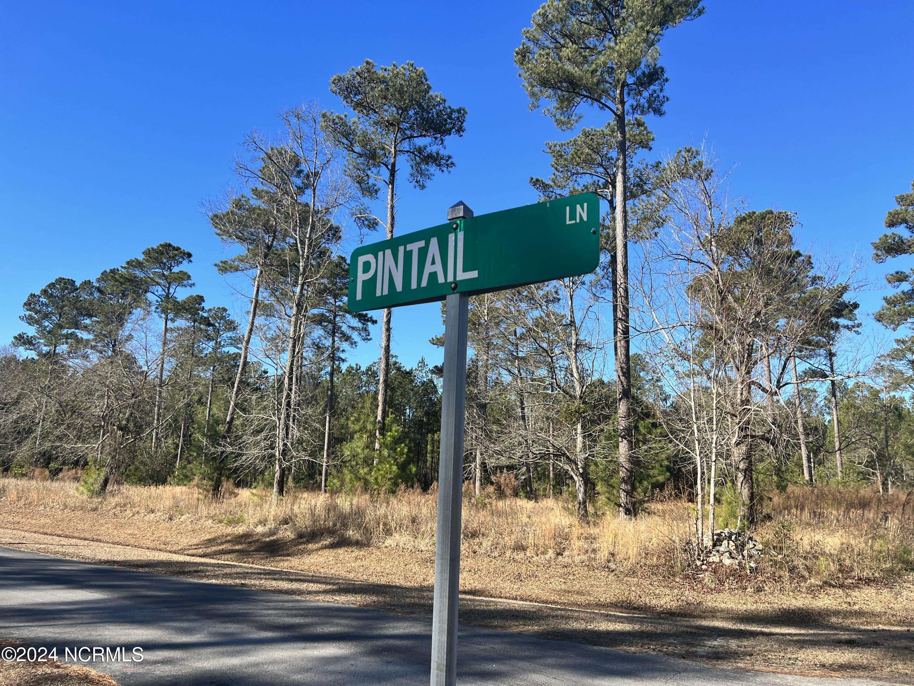 Belhaven, NC 27810,Lot 63 Bailey Pointe