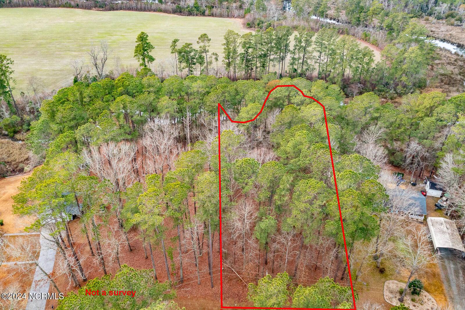 Arapahoe, NC 28510,Lot 3 Whitehall RD