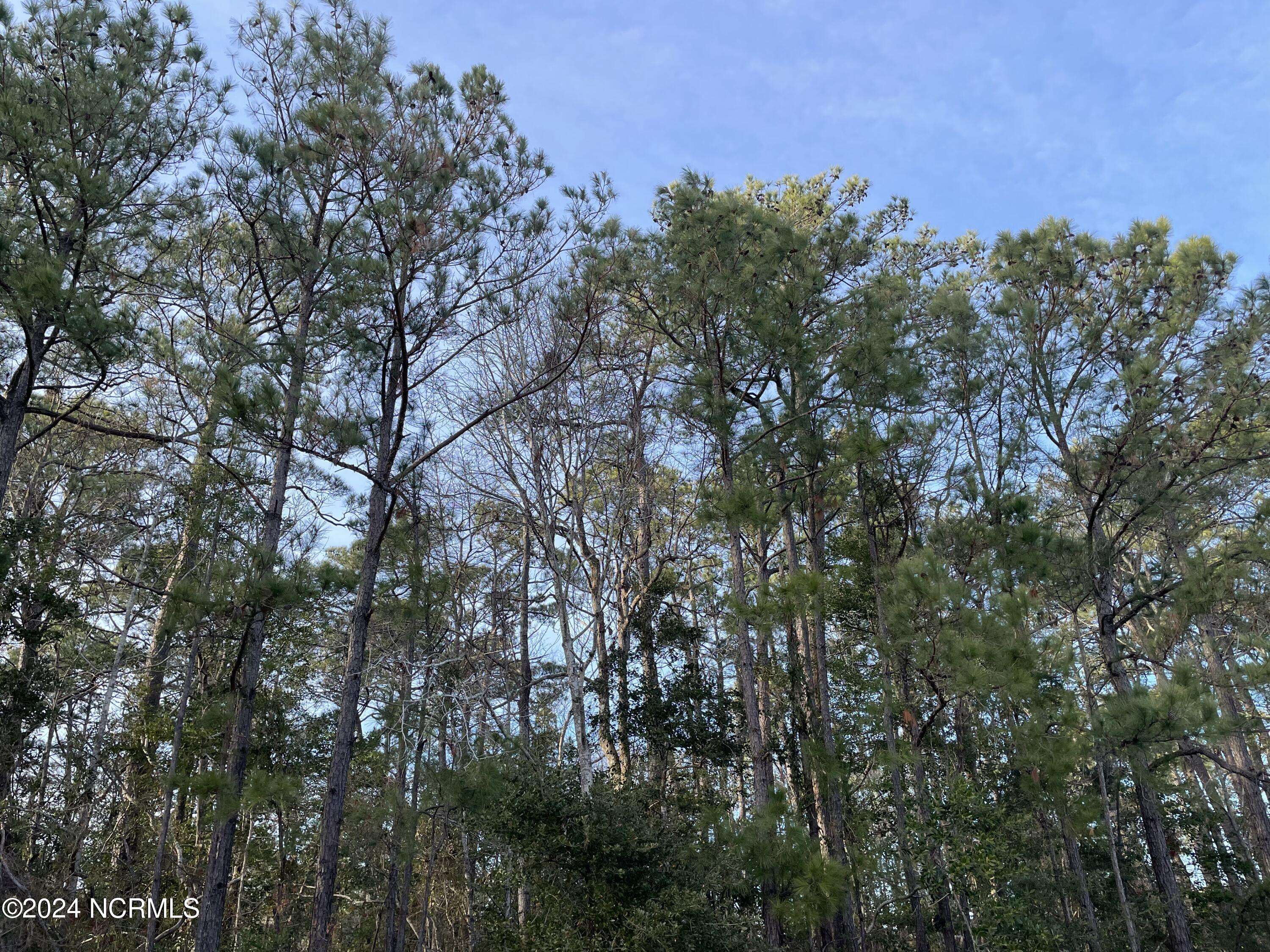 Morehead City, NC 28557,1927 Snowy Egret DR
