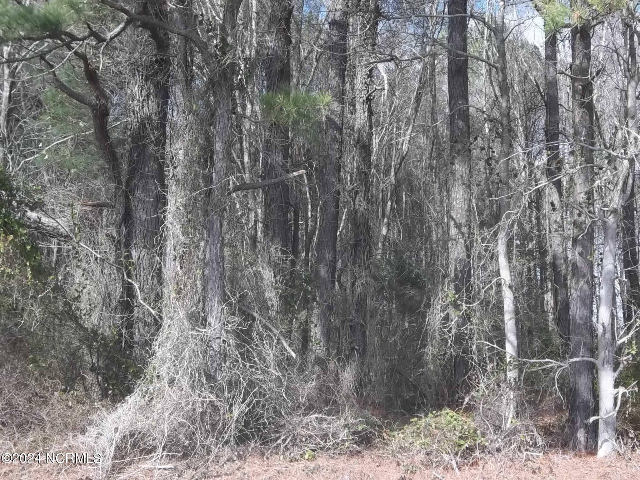 Elizabeth City, NC 27909,Lot 2 Griffin Swamp RD