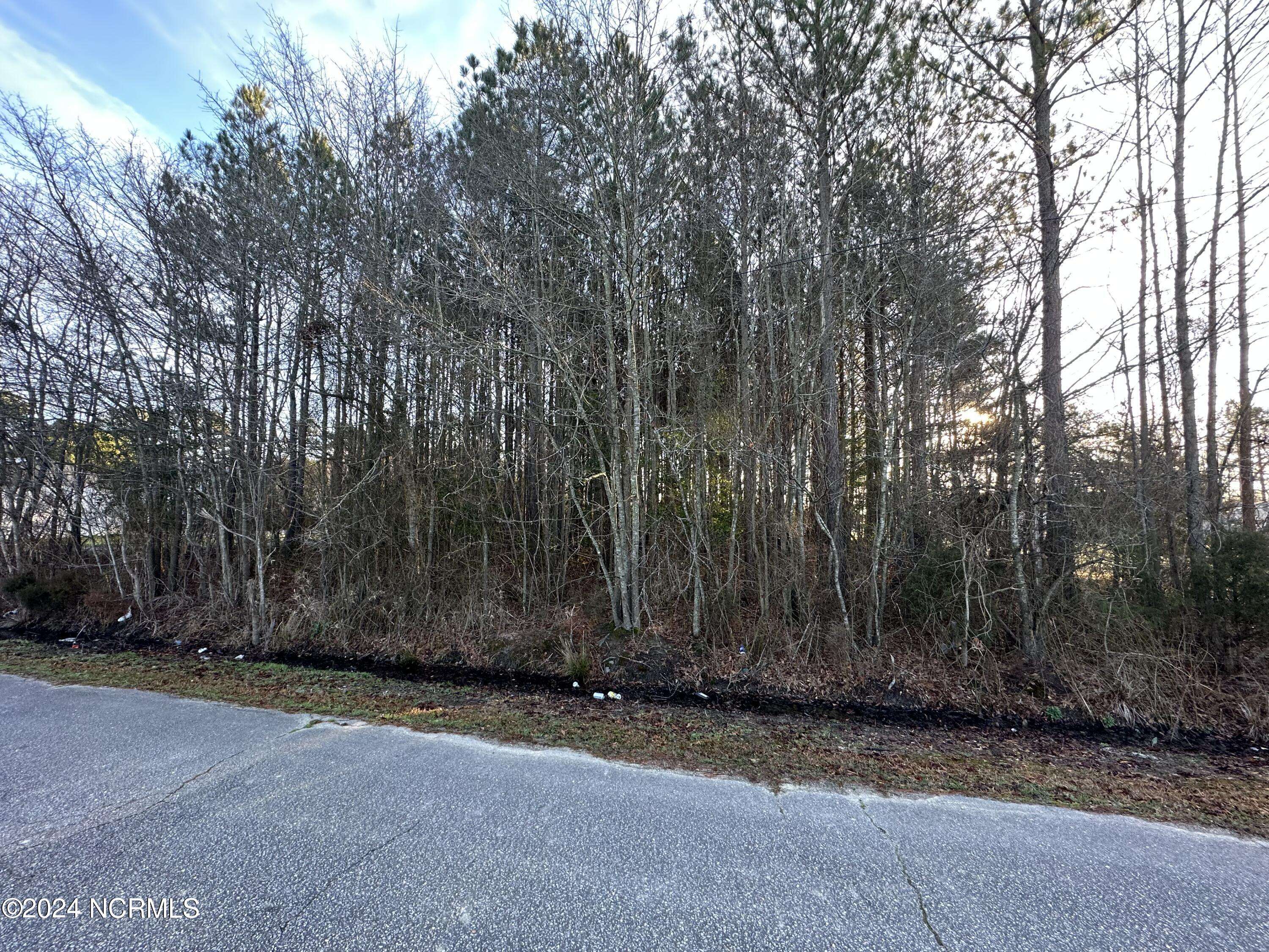 Conway, NC 27820,Tbd Pine ST