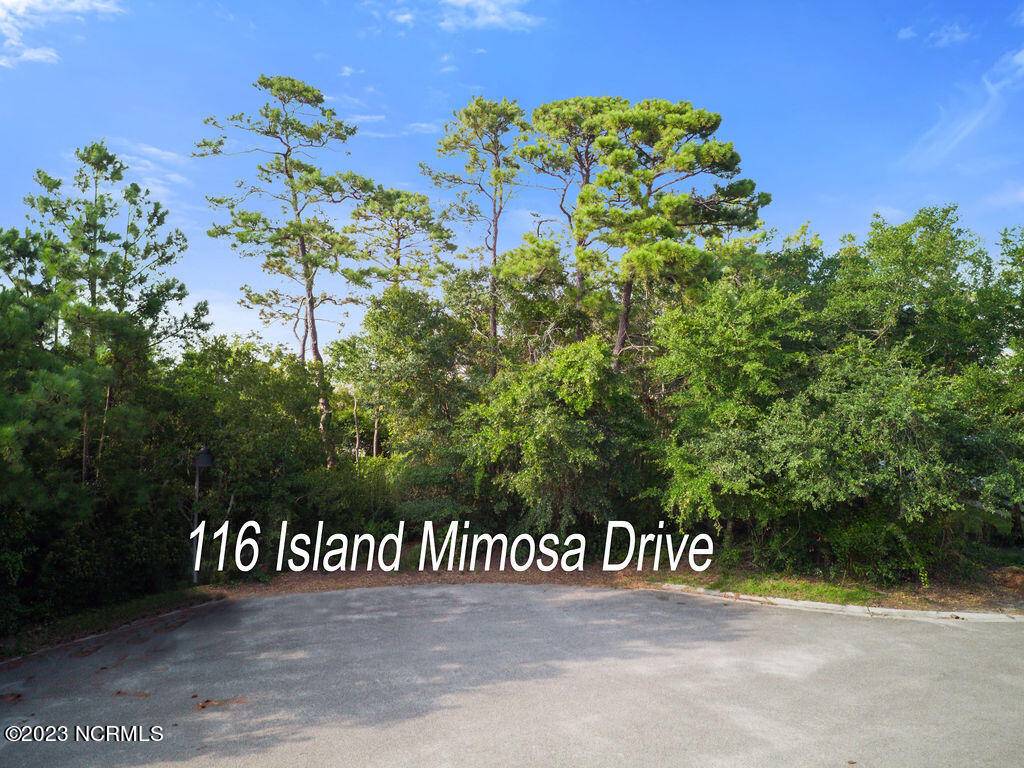 Carolina Beach, NC 28428,116 Island Mimosa DR