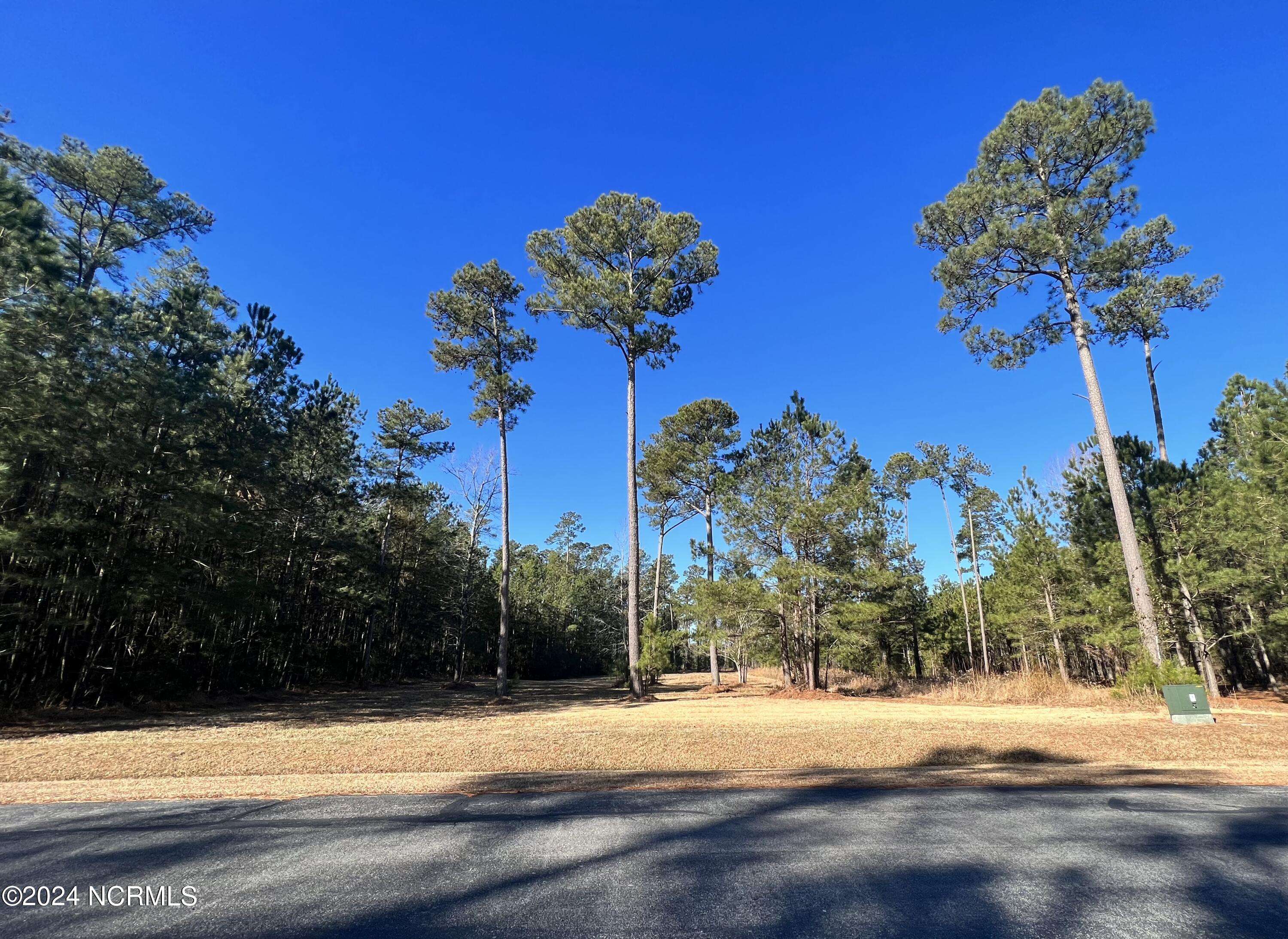 Belhaven, NC 27810,Lot 73 Bailey Pointe