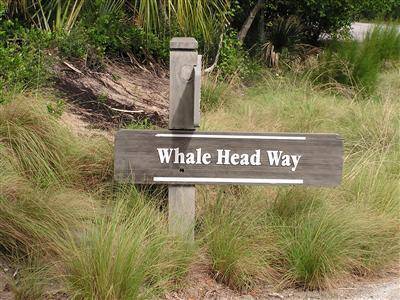 Bald Head Island, NC 28461,207 Whale Head WAY