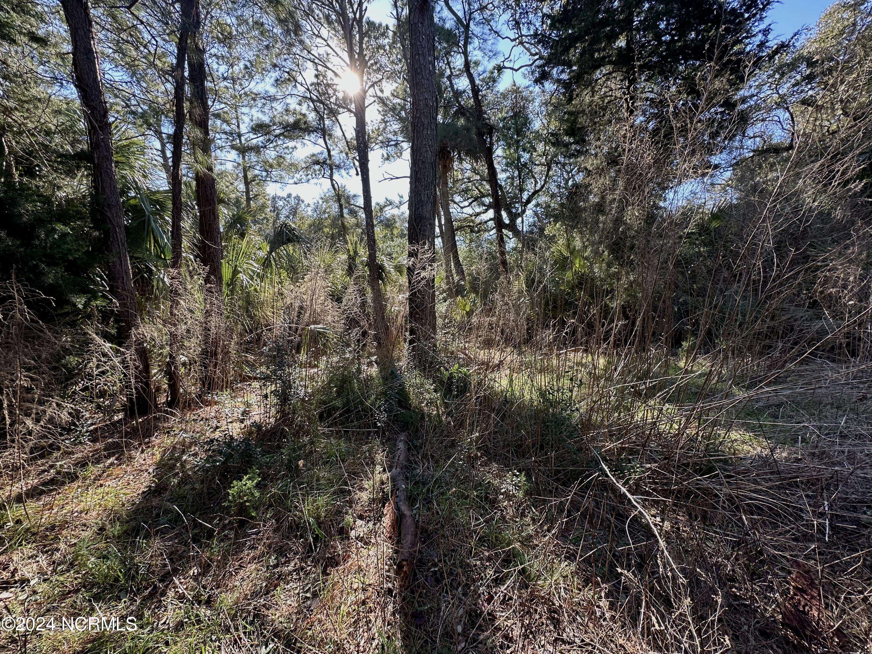 Bald Head Island, NC 28461,6 Spanish Needles CT