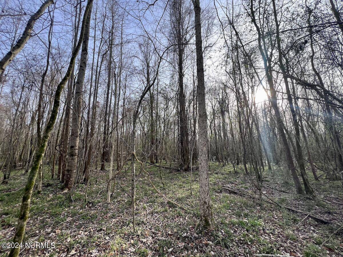 Chocowinity, NC 27817,00 Dixon RD