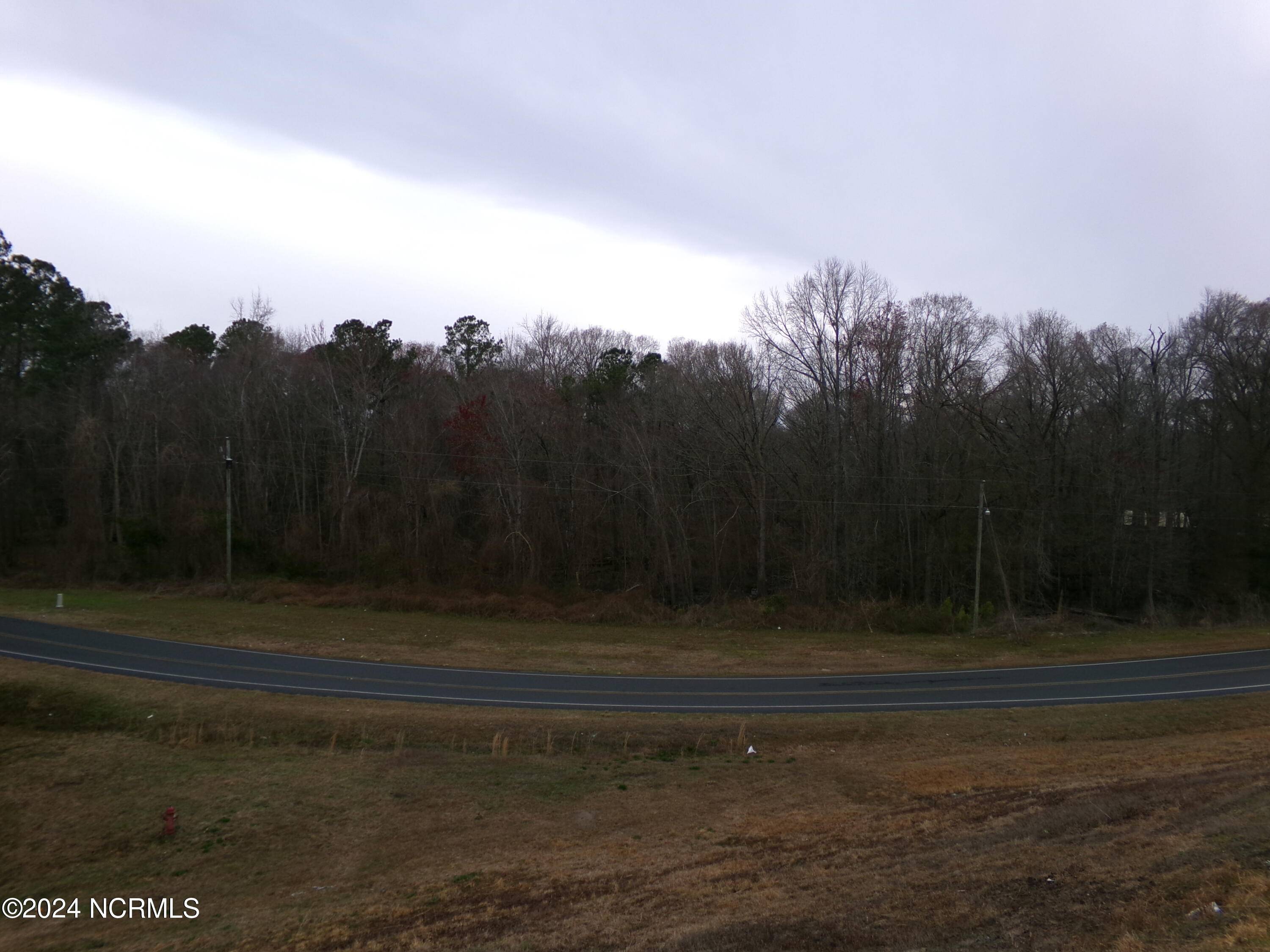 Fair Bluff, NC 28439,Near   221 Causey RD