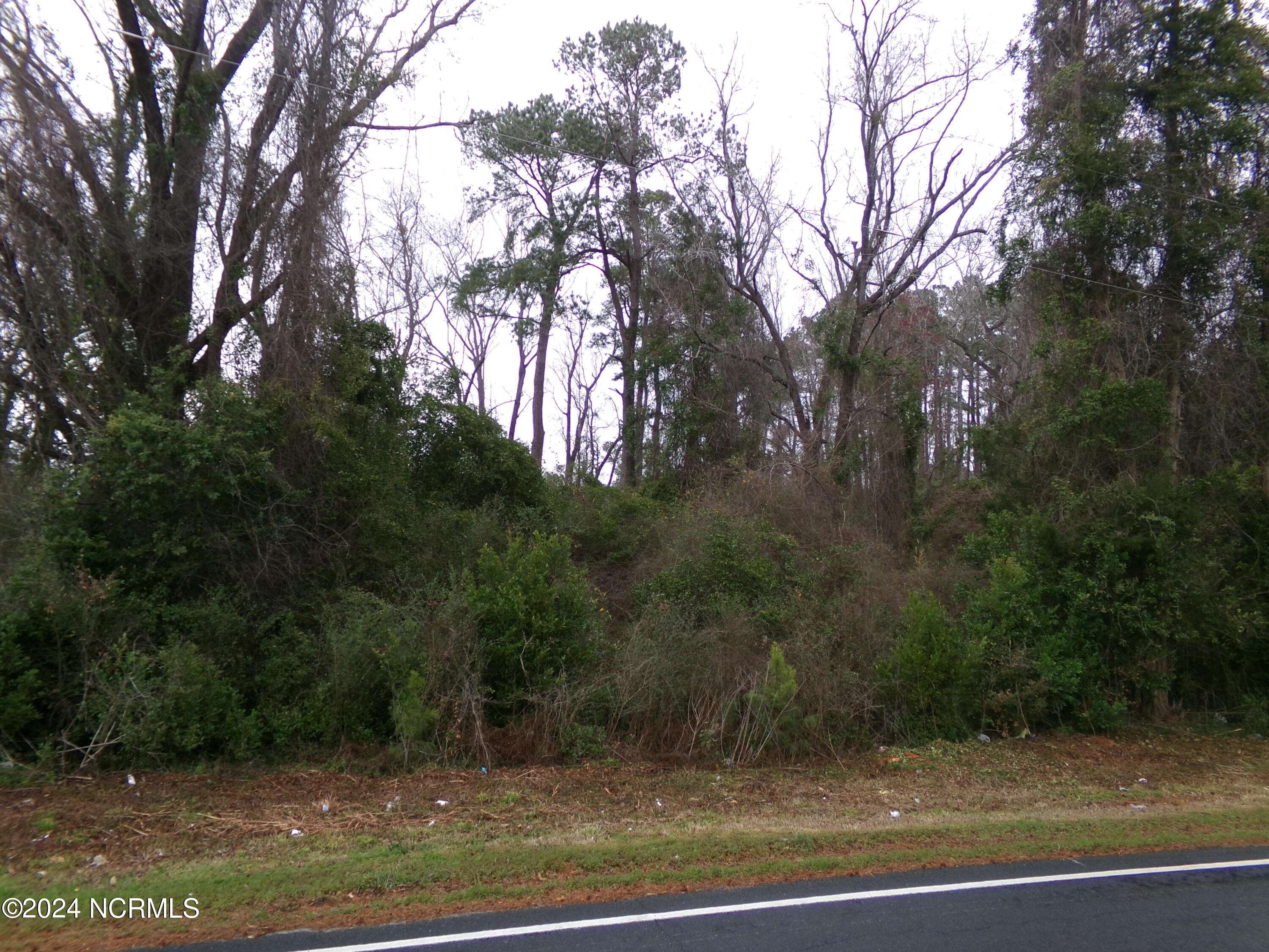 Fair Bluff, NC 28439,Near   221 Causey RD