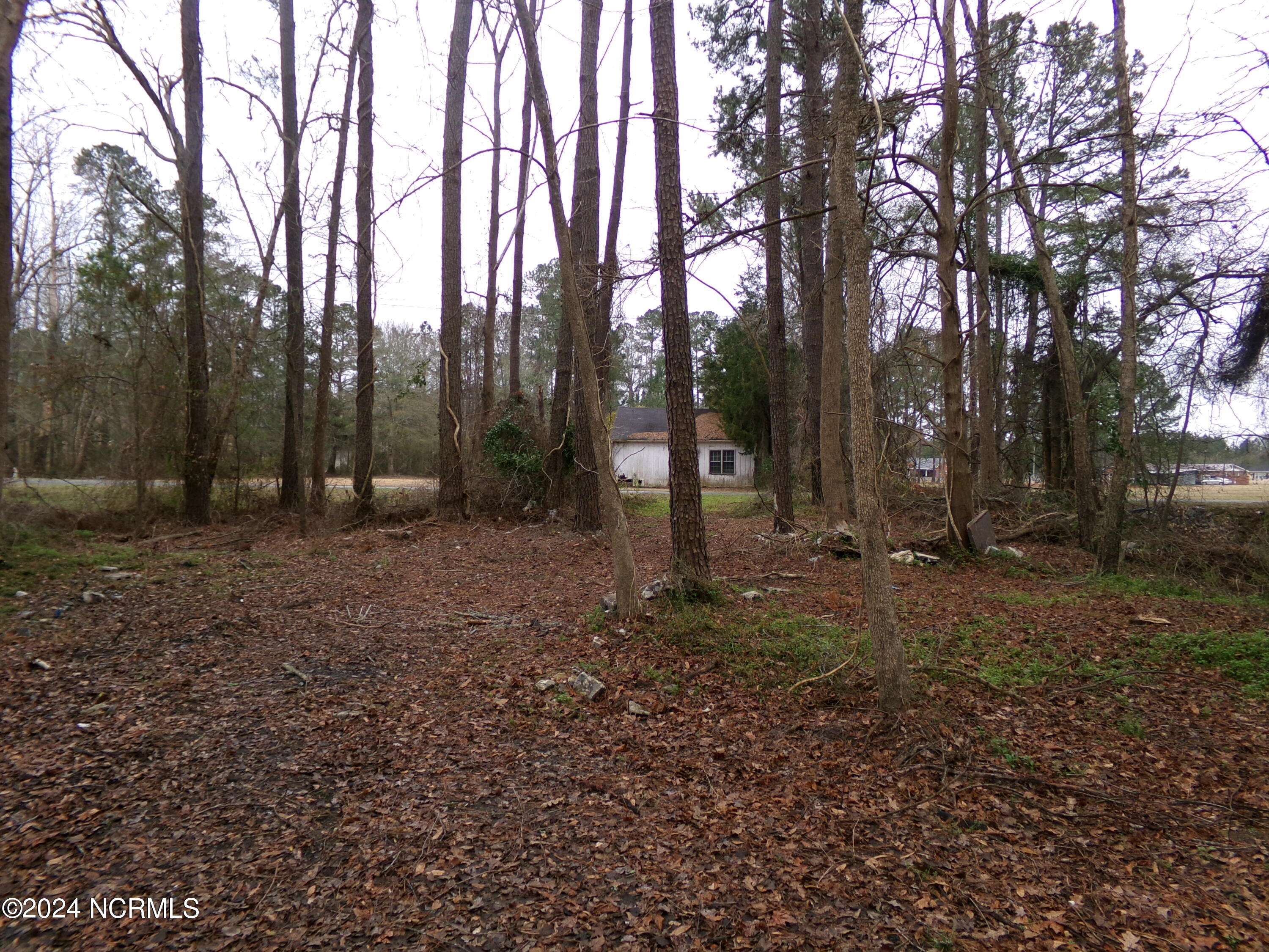 Fair Bluff, NC 28439,Near   221 Causey RD