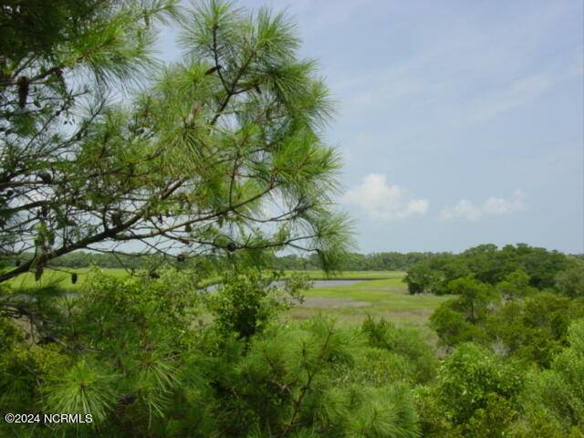 Bald Head Island, NC 28461,2 Towhee CT