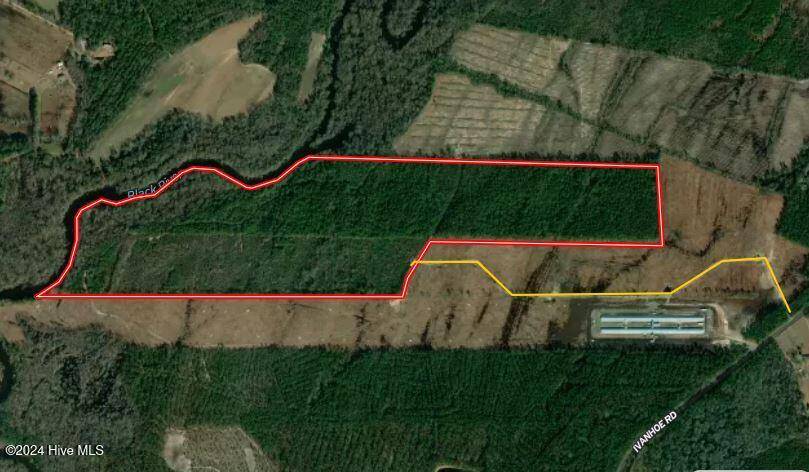 Ivanhoe, NC 28447,137.18 Ac Ivanhoe Road