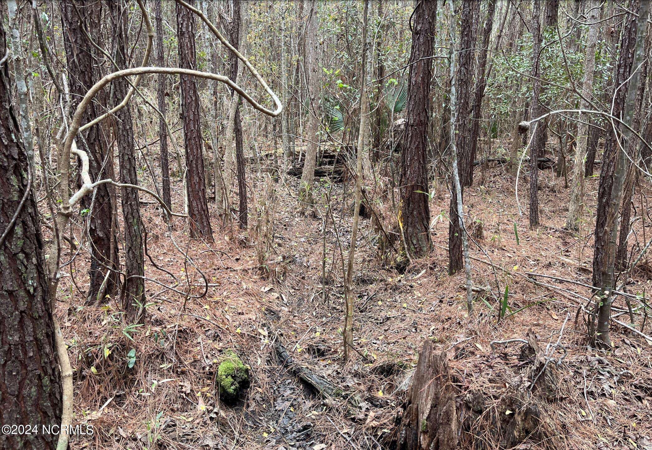 Lake Waccamaw, NC 28450,Near 321 Dixon ST