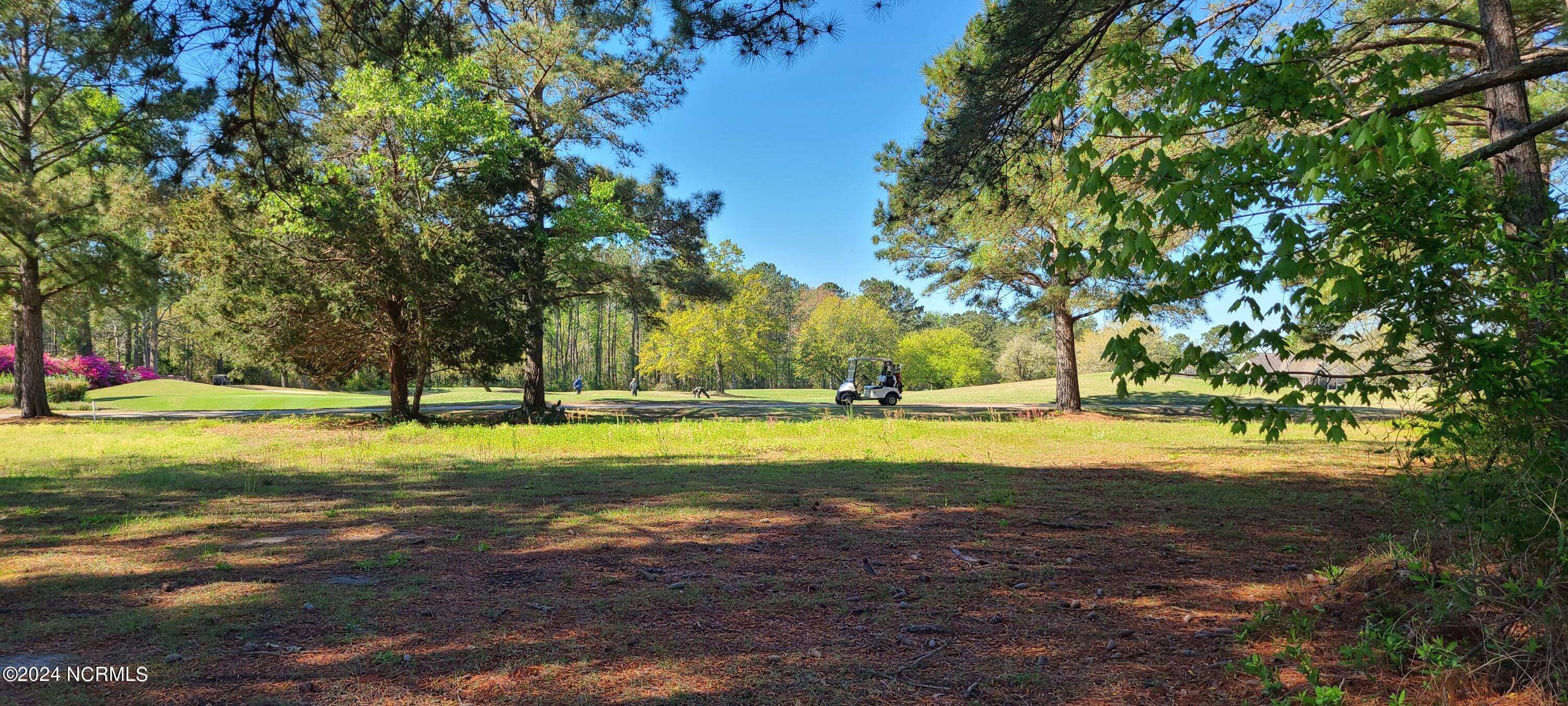 Calabash, NC 28467,350 Autumn Pheasant Loop NW