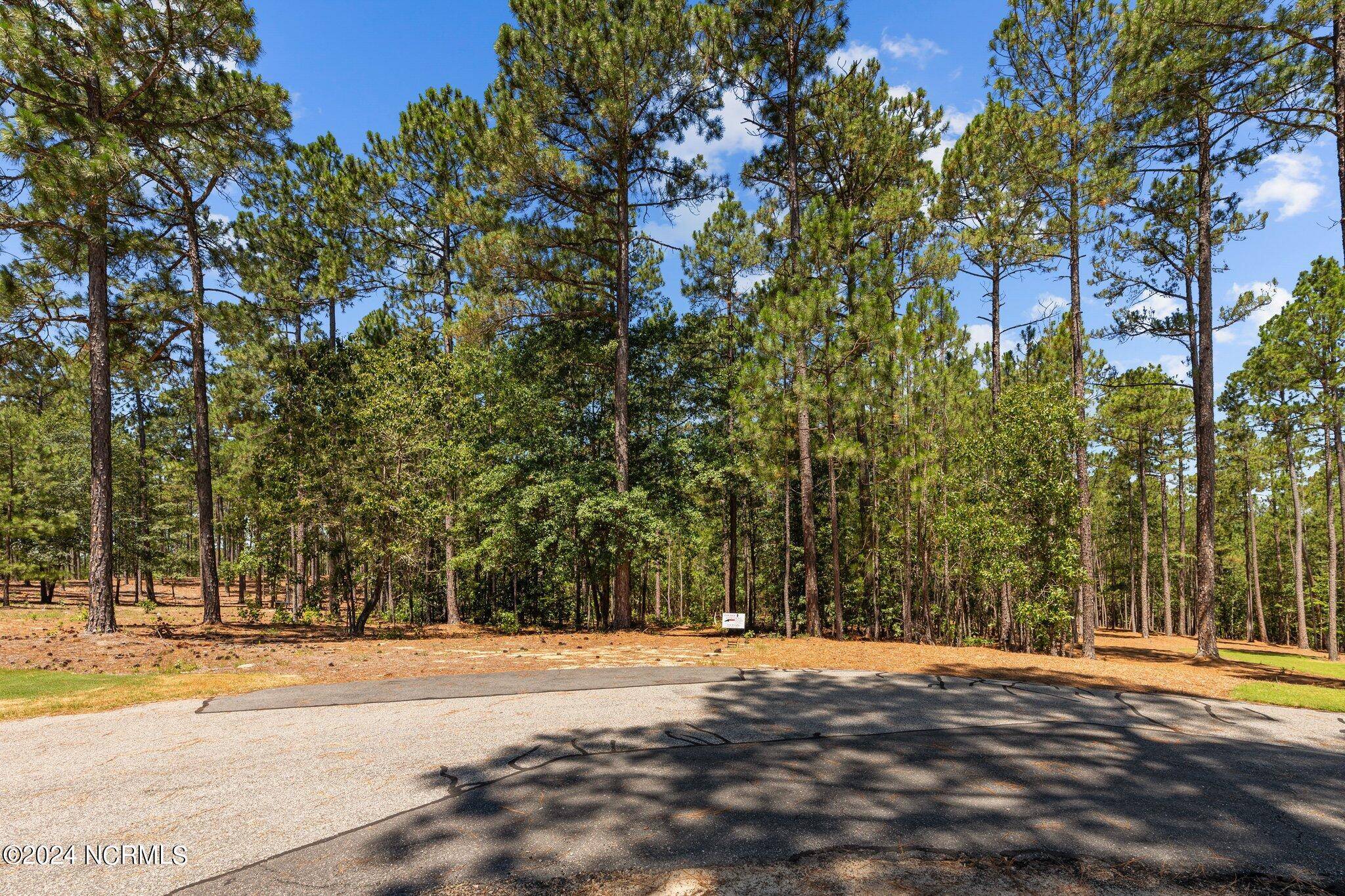 Jackson Springs, NC 27281,190 Vista RDG W