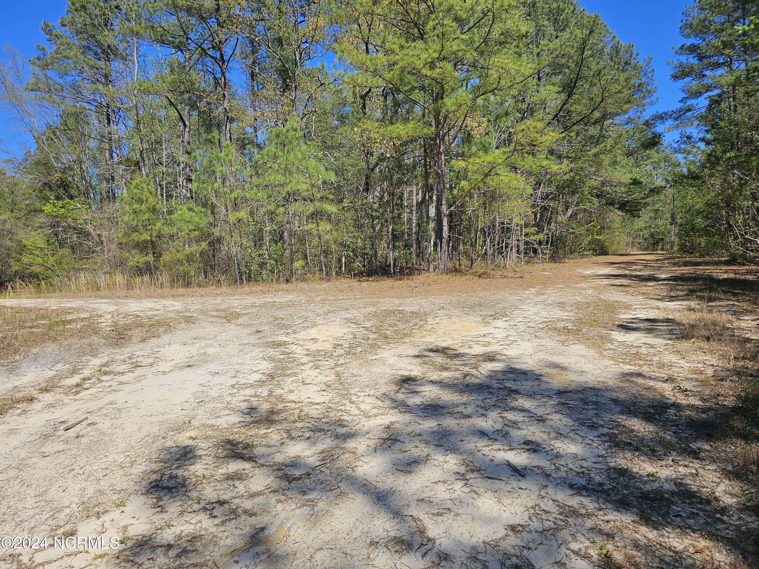 Vass, NC 28394,353 Indian Pipe LN