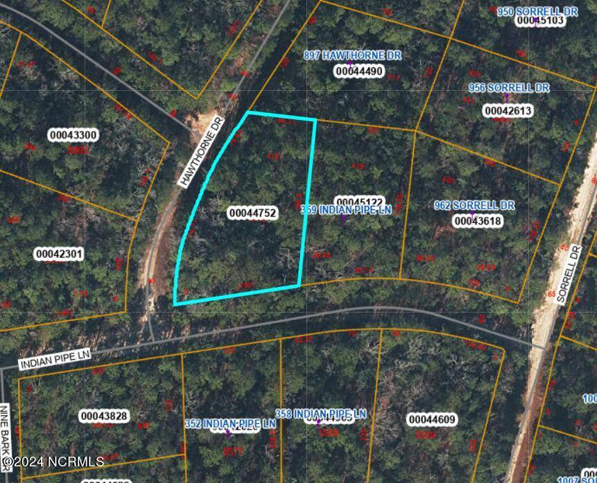 Vass, NC 28394,353 Indian Pipe LN