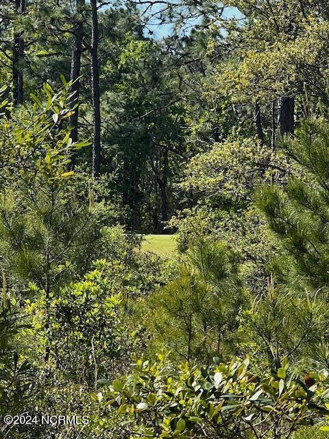 Boiling Spring Lakes, NC 28461,Lot 81 Trevino RD