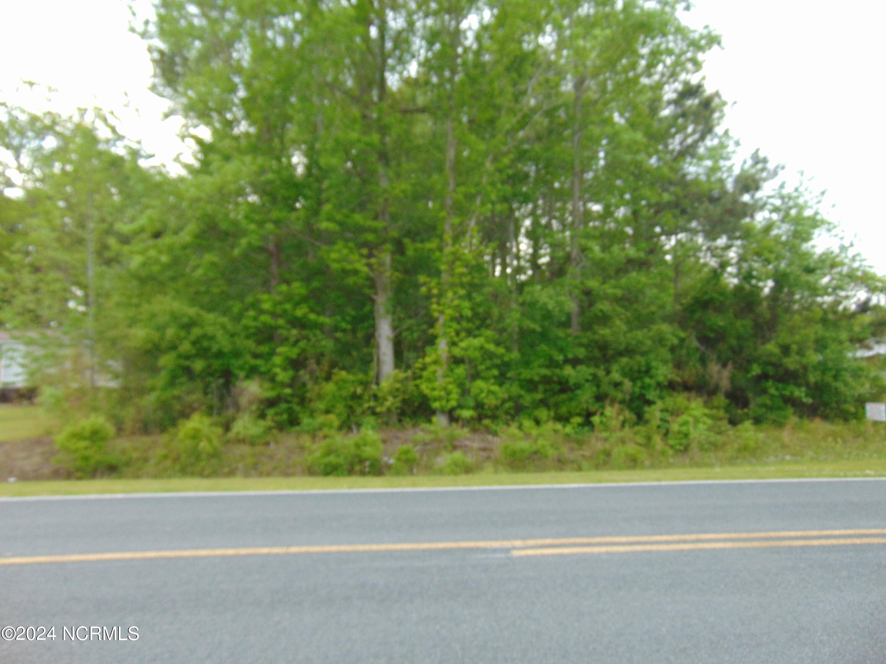 Edward, NC 27821,Lot 6 Minor Run RD