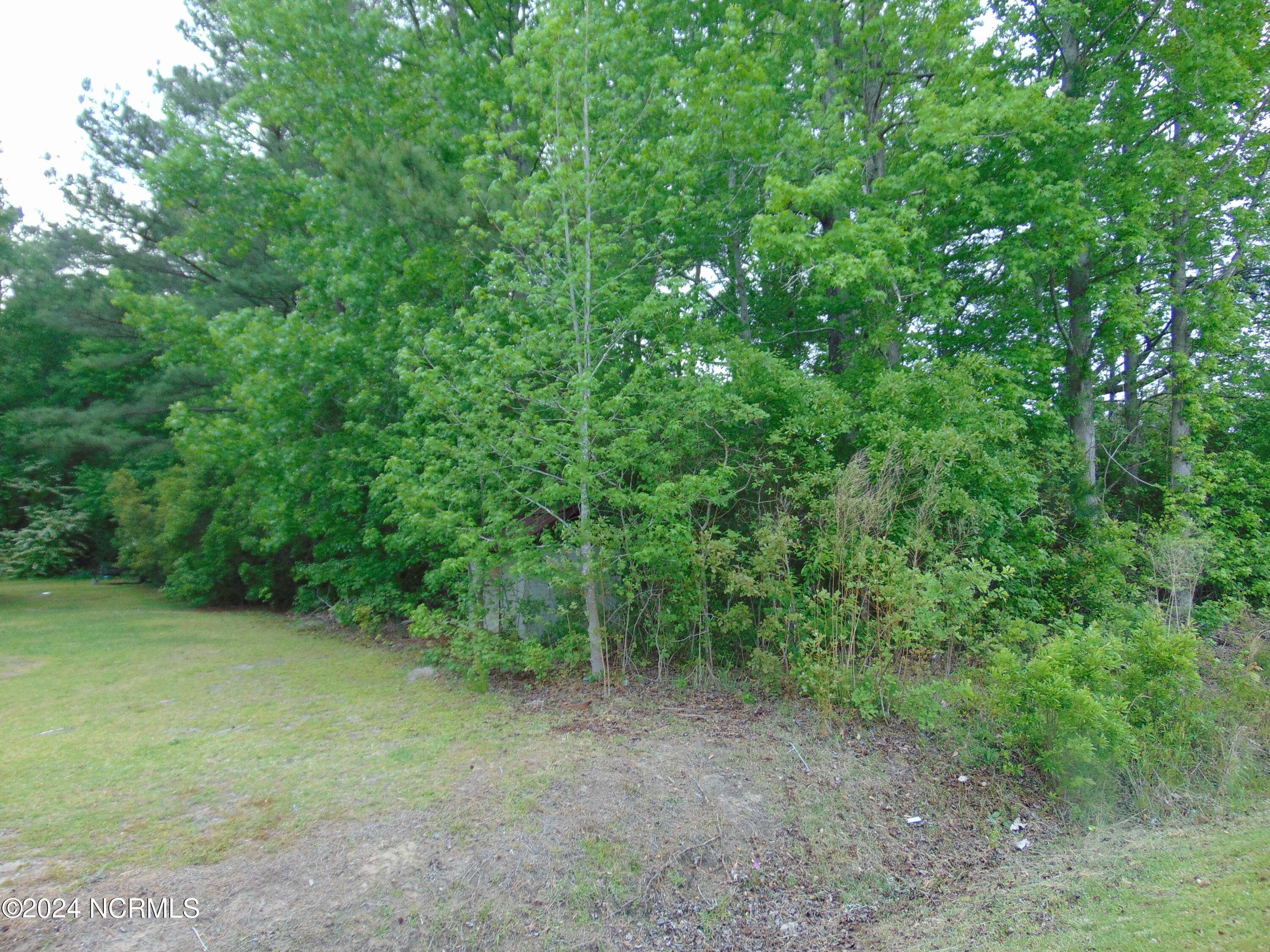 Edward, NC 27821,Lot 6 Minor Run RD