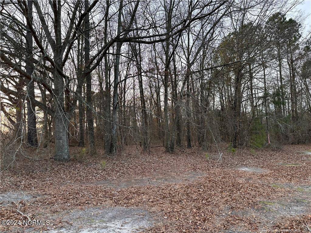 Rowland, NC 28383,Lot 1 Midway RD