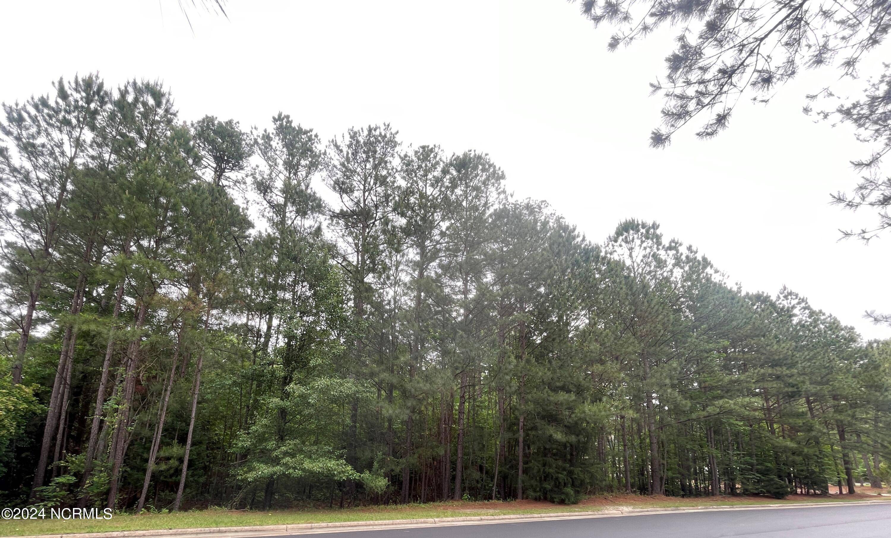 Pinehurst, NC 28374,226 Meyer Farm DR