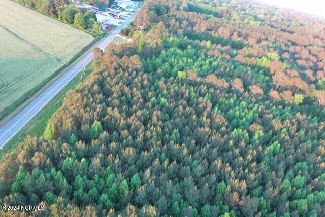 Burgaw, NC 28425,53 Hy