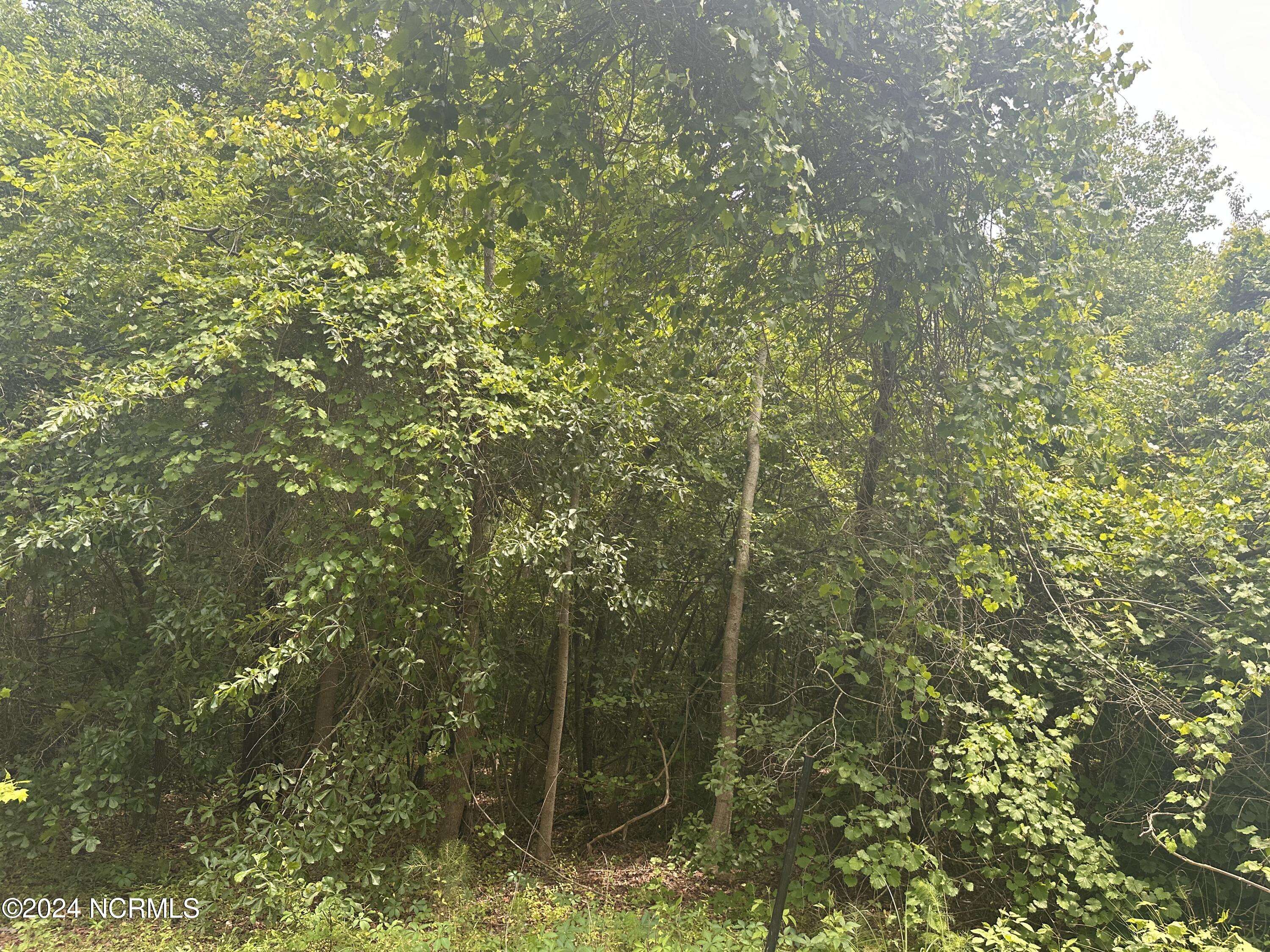 Pembroke, NC 28372,Lot 14 Richland DR