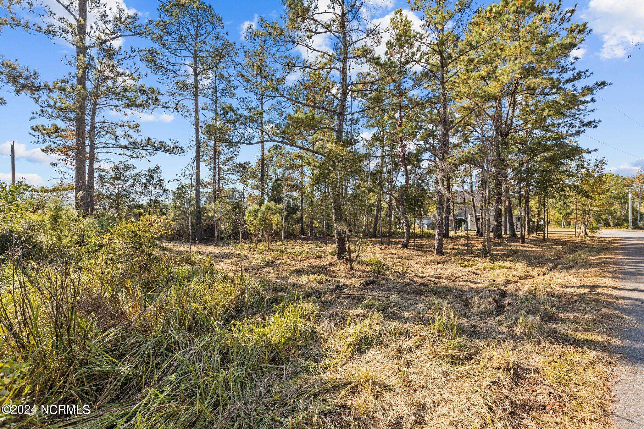 Washington, NC 27889,Lot 5 River Walk DR