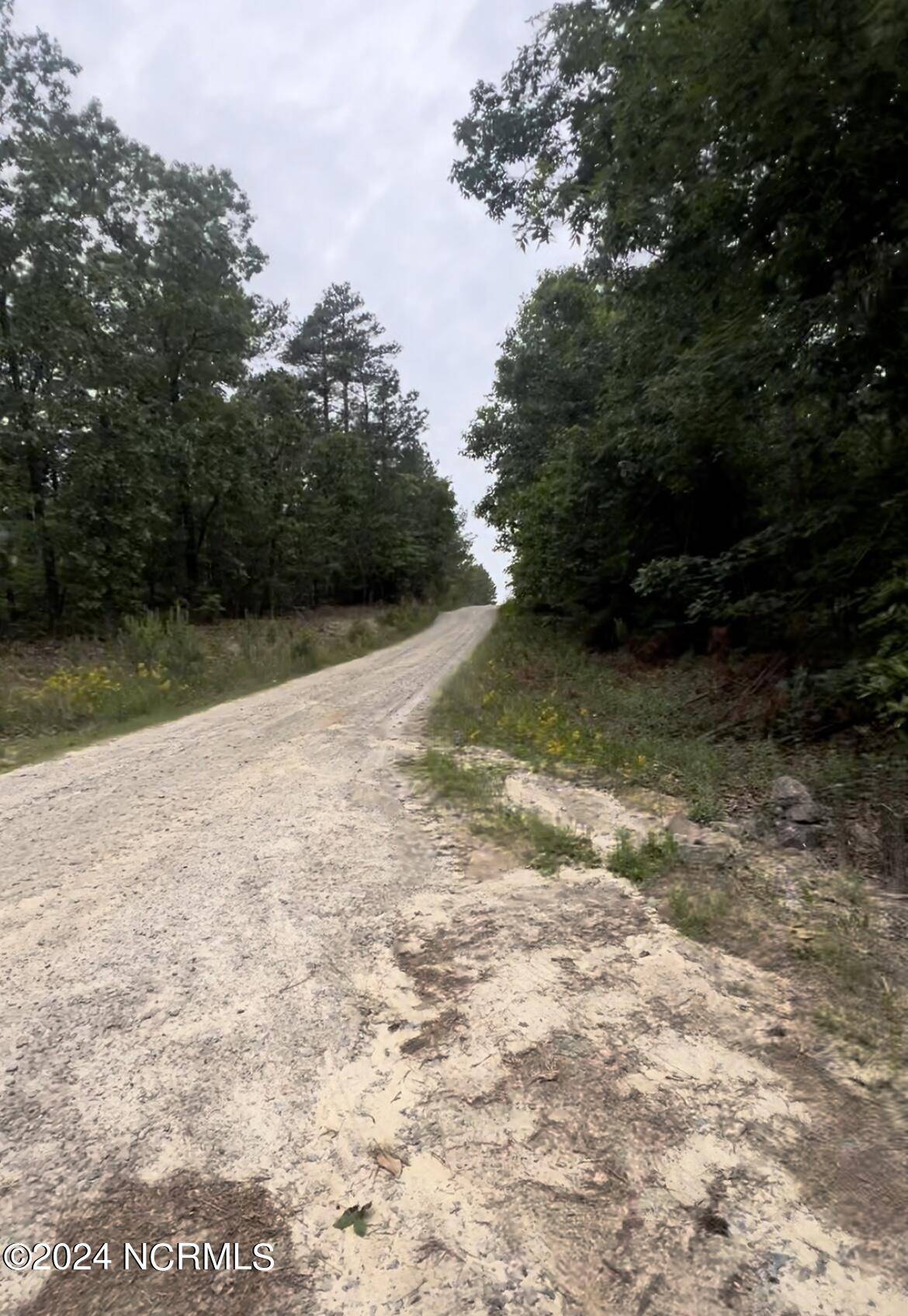 Eagle Springs, NC 27242,Lot 23 Cedar LN