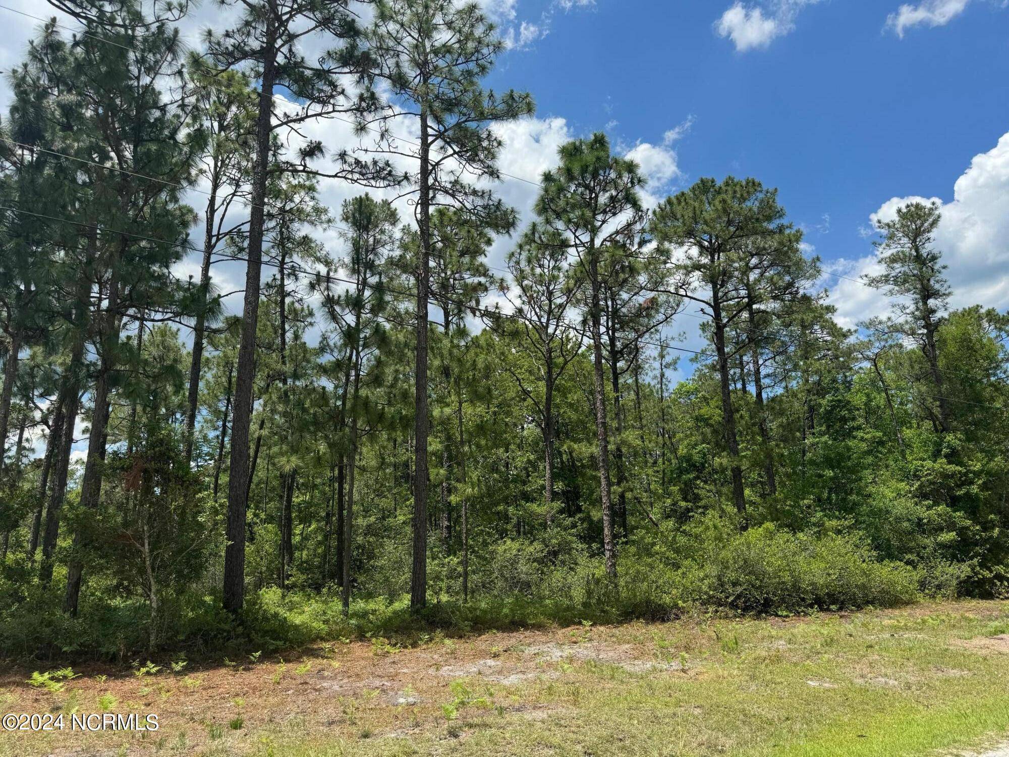 Southport, NC 28461,Lot 4 Maple RD