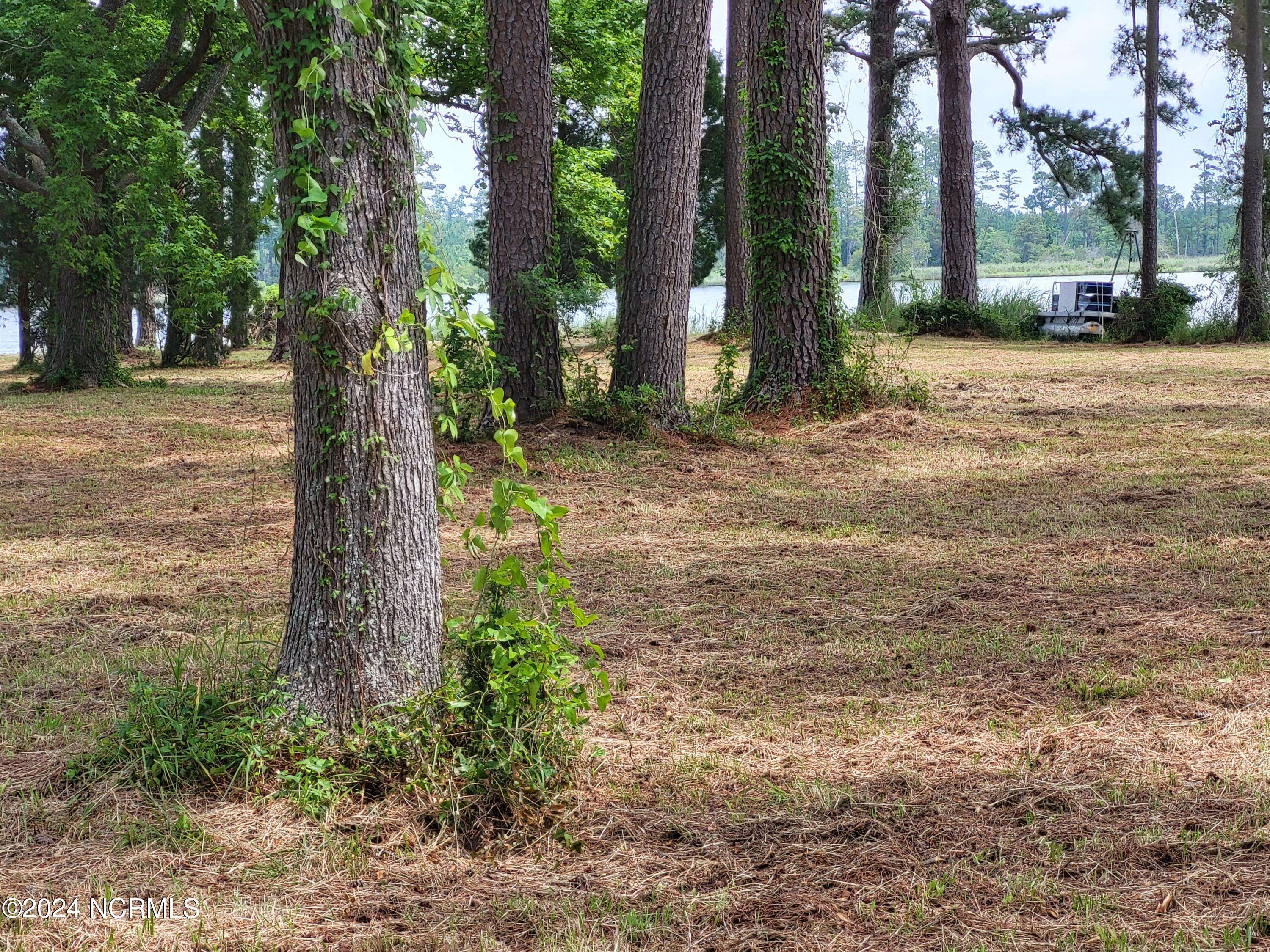 Aurora, NC 27806,Lot 22057 Mills RD