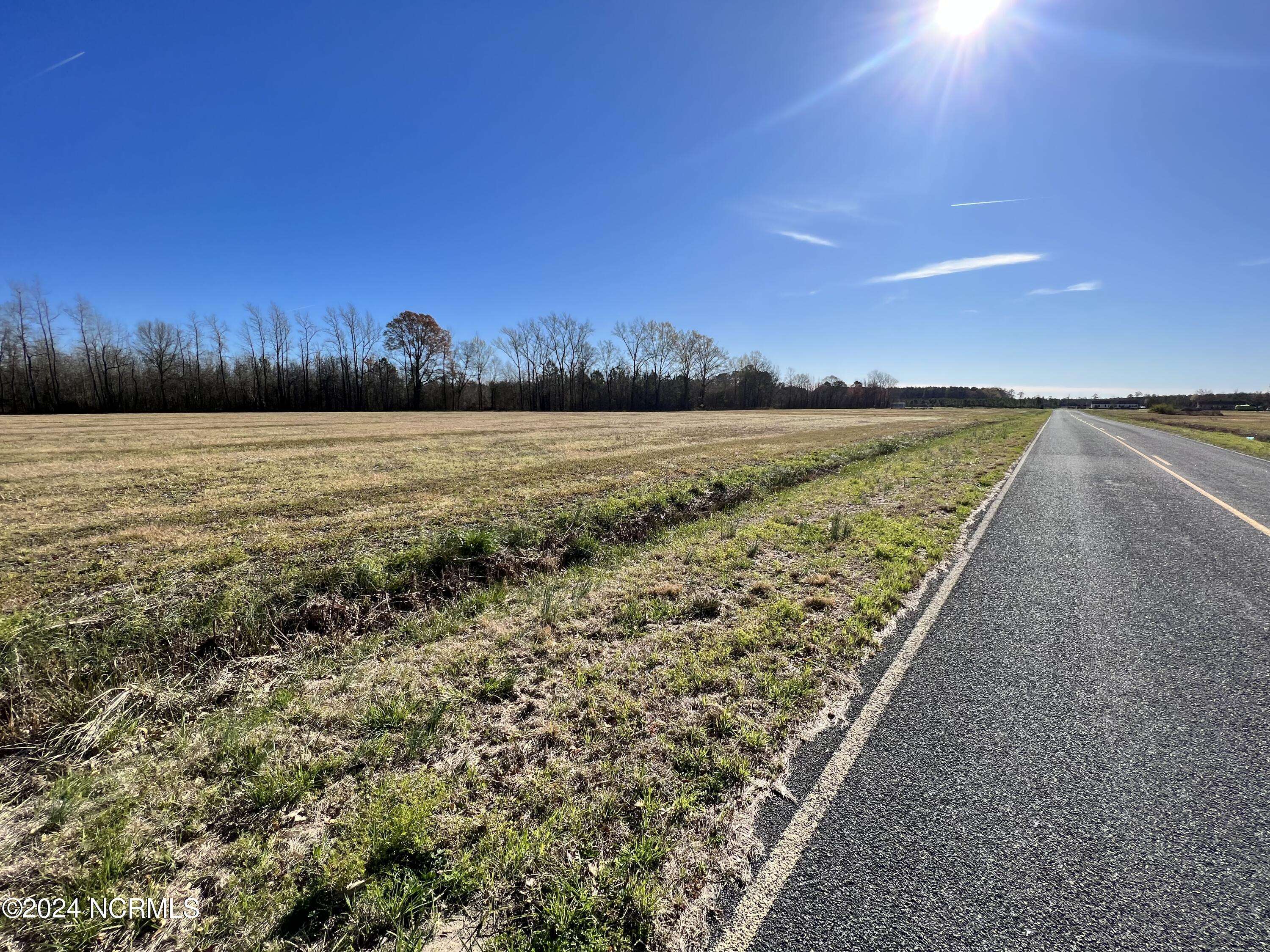 Williamston, NC 27892,Lot 2 Guss LN